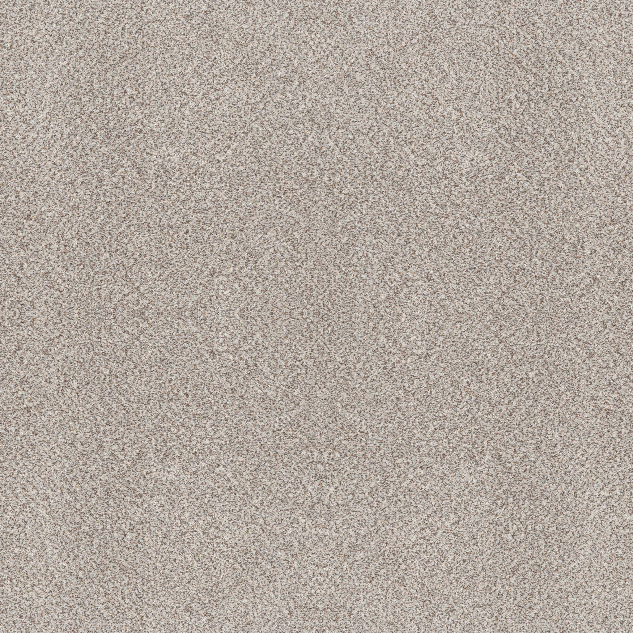 Splendid Highlights Carpet - Suede Buff(A) Zoomed Swatch Image