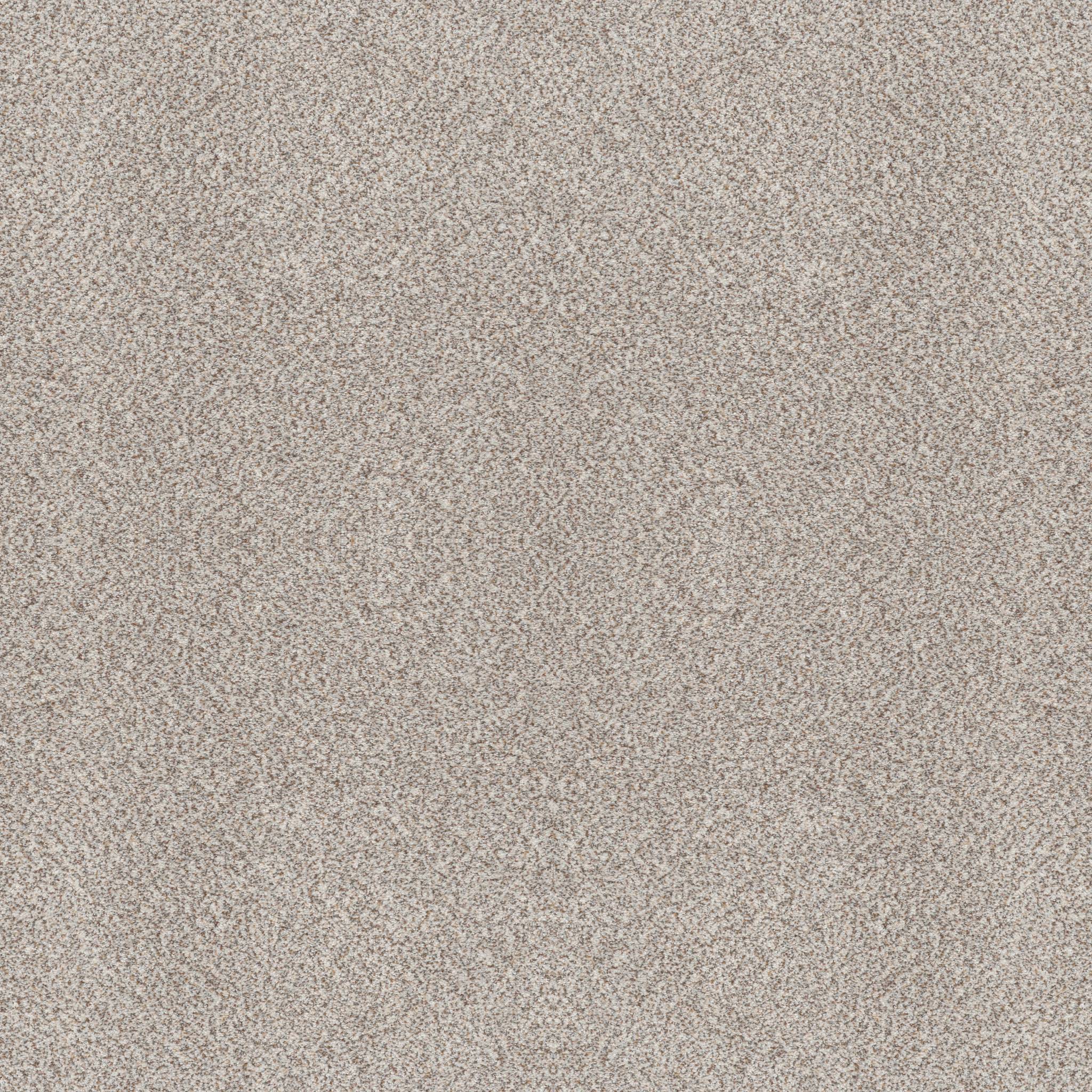 Splendid Highlights Carpet - Suede Buff(A) Zoomed Swatch Image