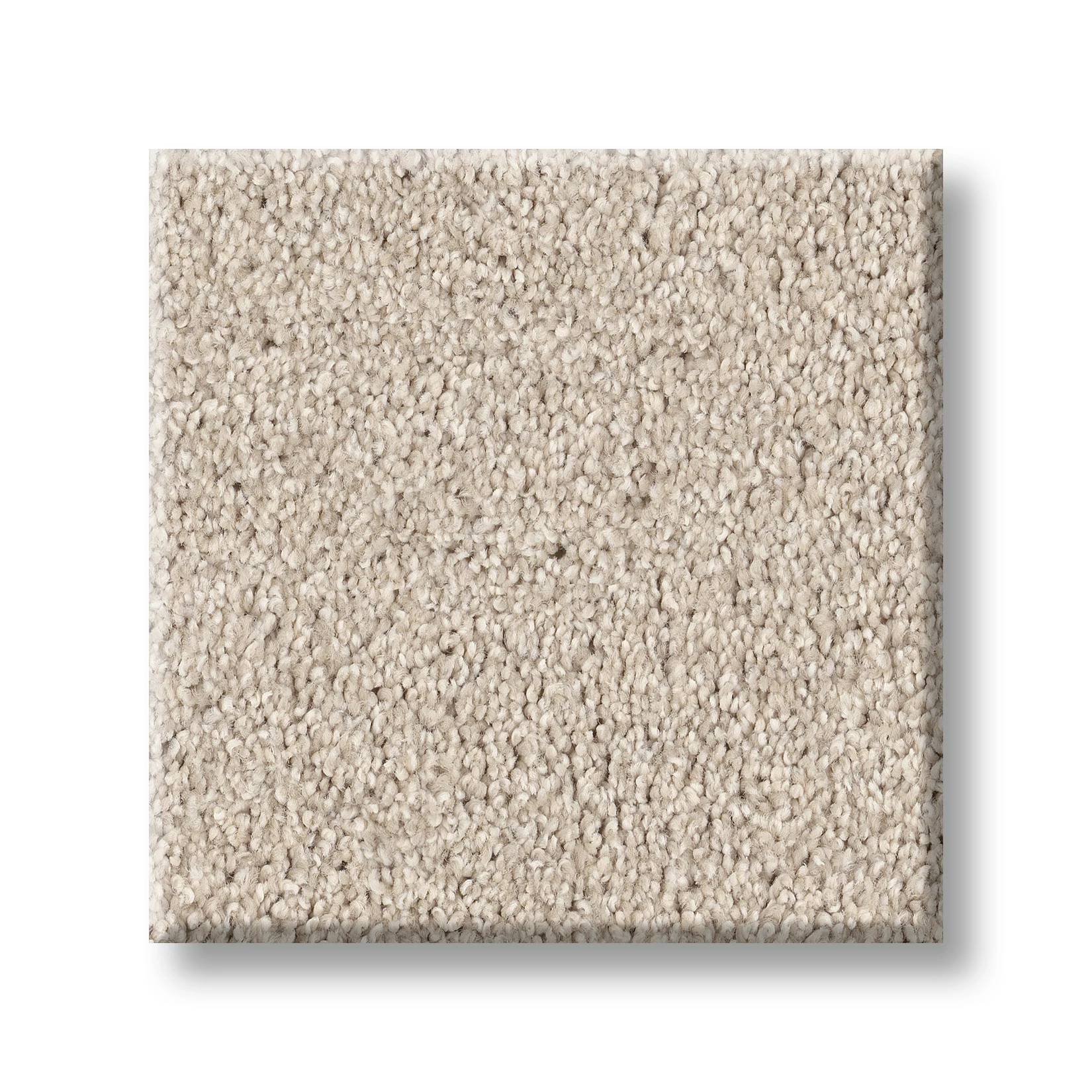 Grand Variety Carpet - Angora(T) Swatch Thumbnail pupop1