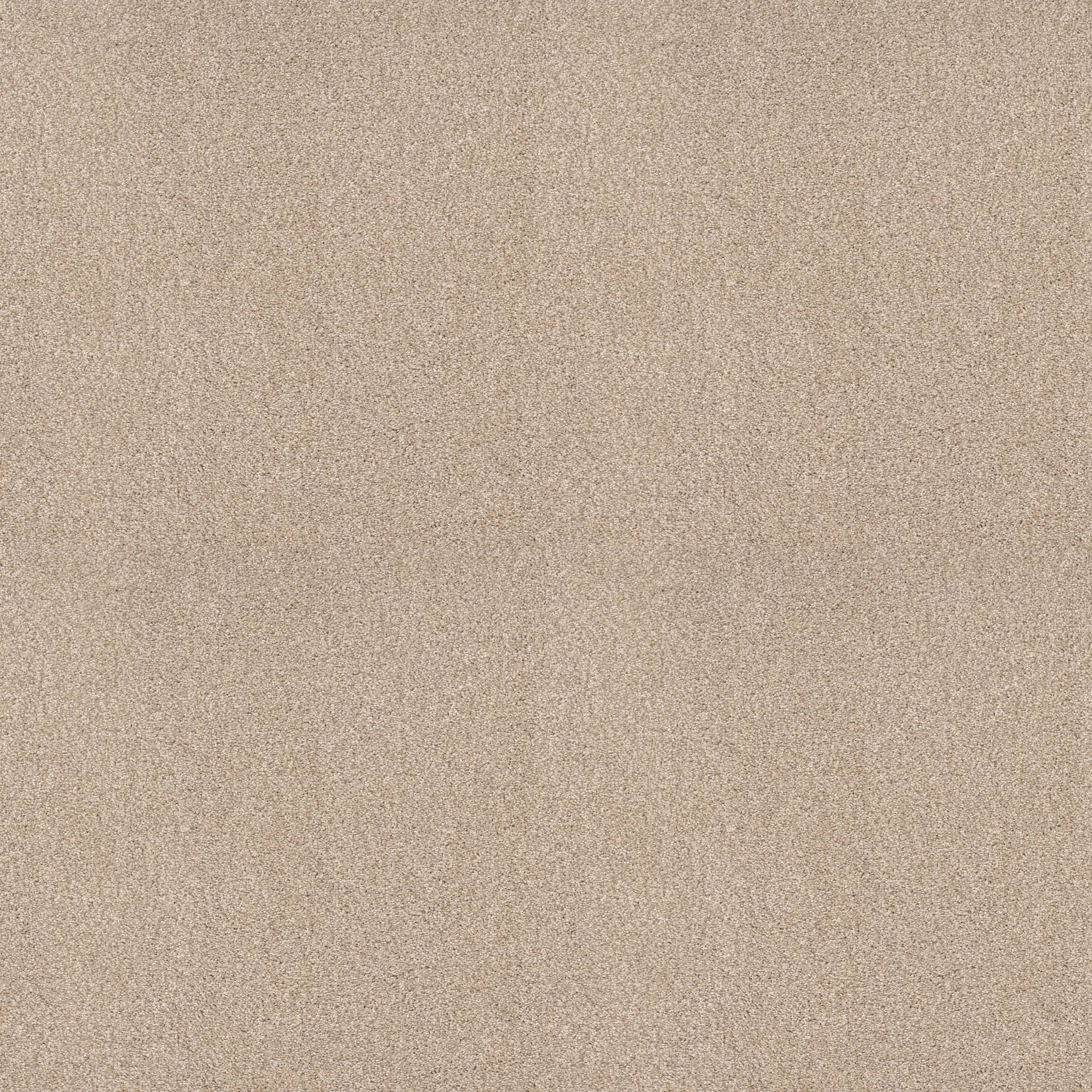 Grand Variety Carpet - Vintage Tan(T) Zoomed Swatch Image