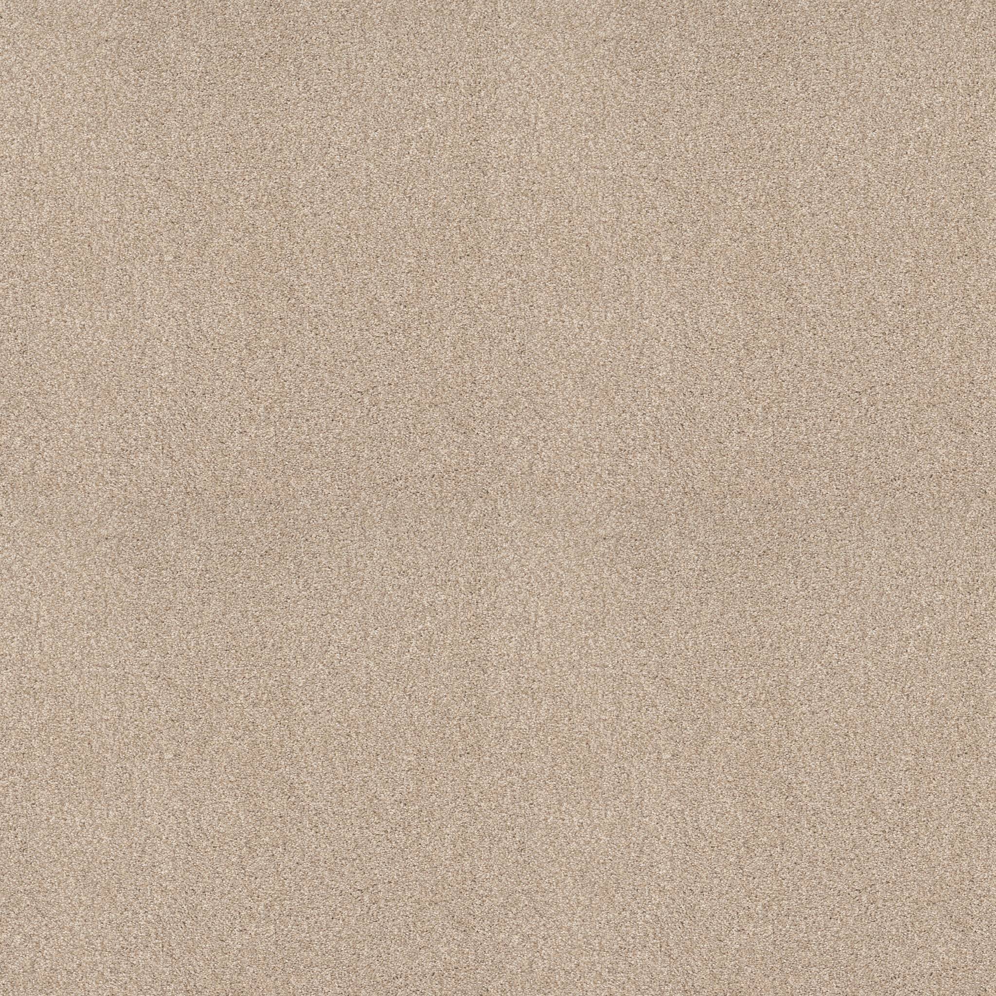 Grand Variety Carpet - Vintage Tan(T) Zoomed Swatch Image