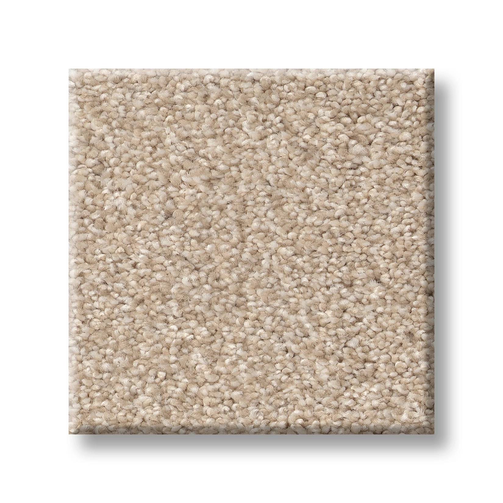 Grand Variety Carpet - Vintage Tan(T) Swatch Thumbnail pupop1