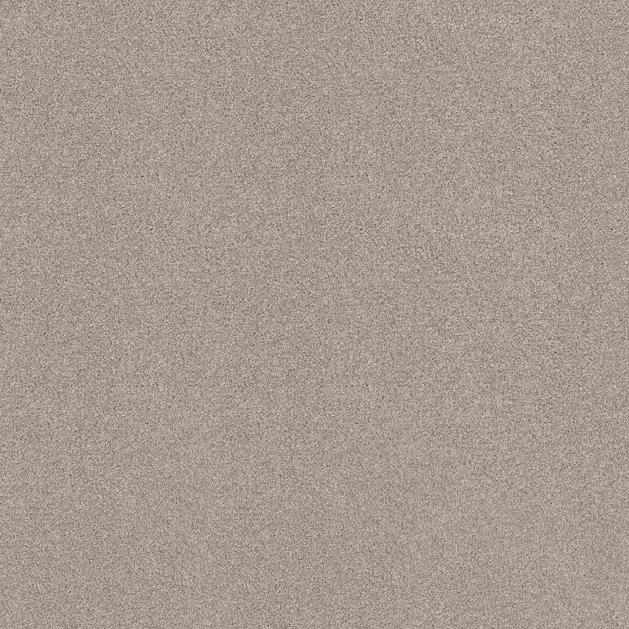 Grand Variety Carpet - Safari(T) Zoomed Swatch Image