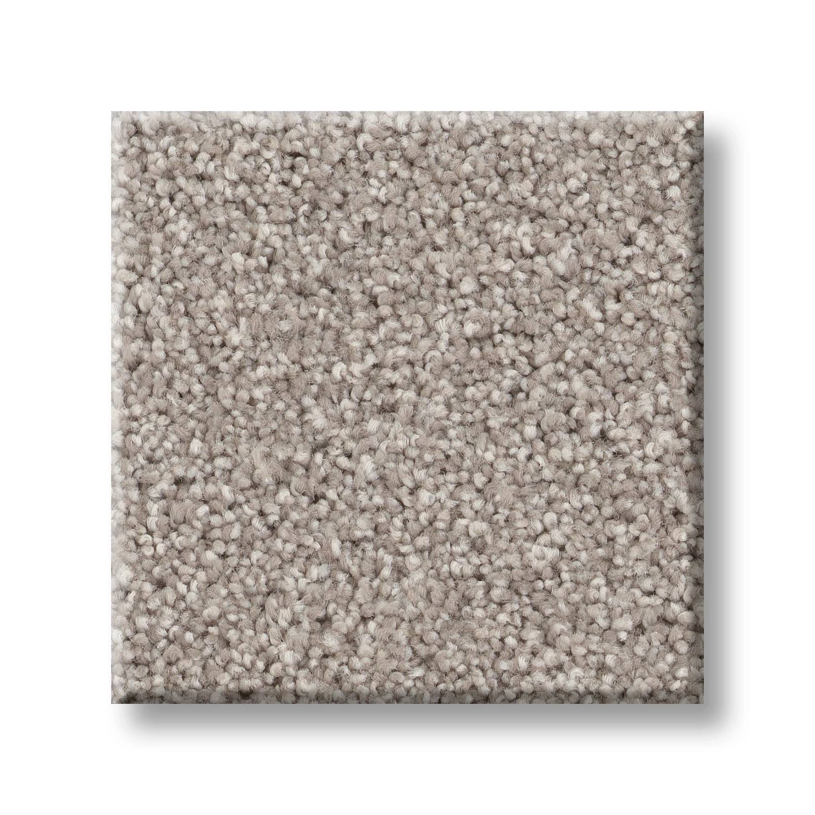 Grand Variety Carpet - Safari(T) Swatch Thumbnail pupop1