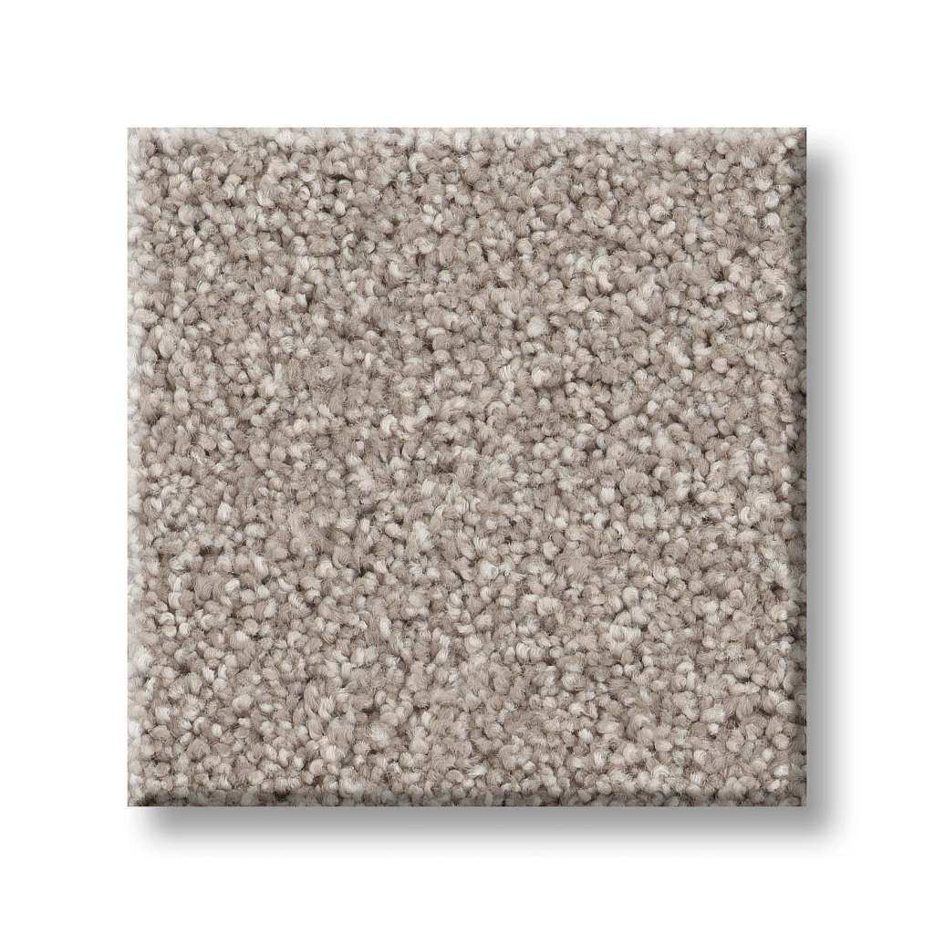 Grand Variety Carpet - Safari(T)  Swatch Image 