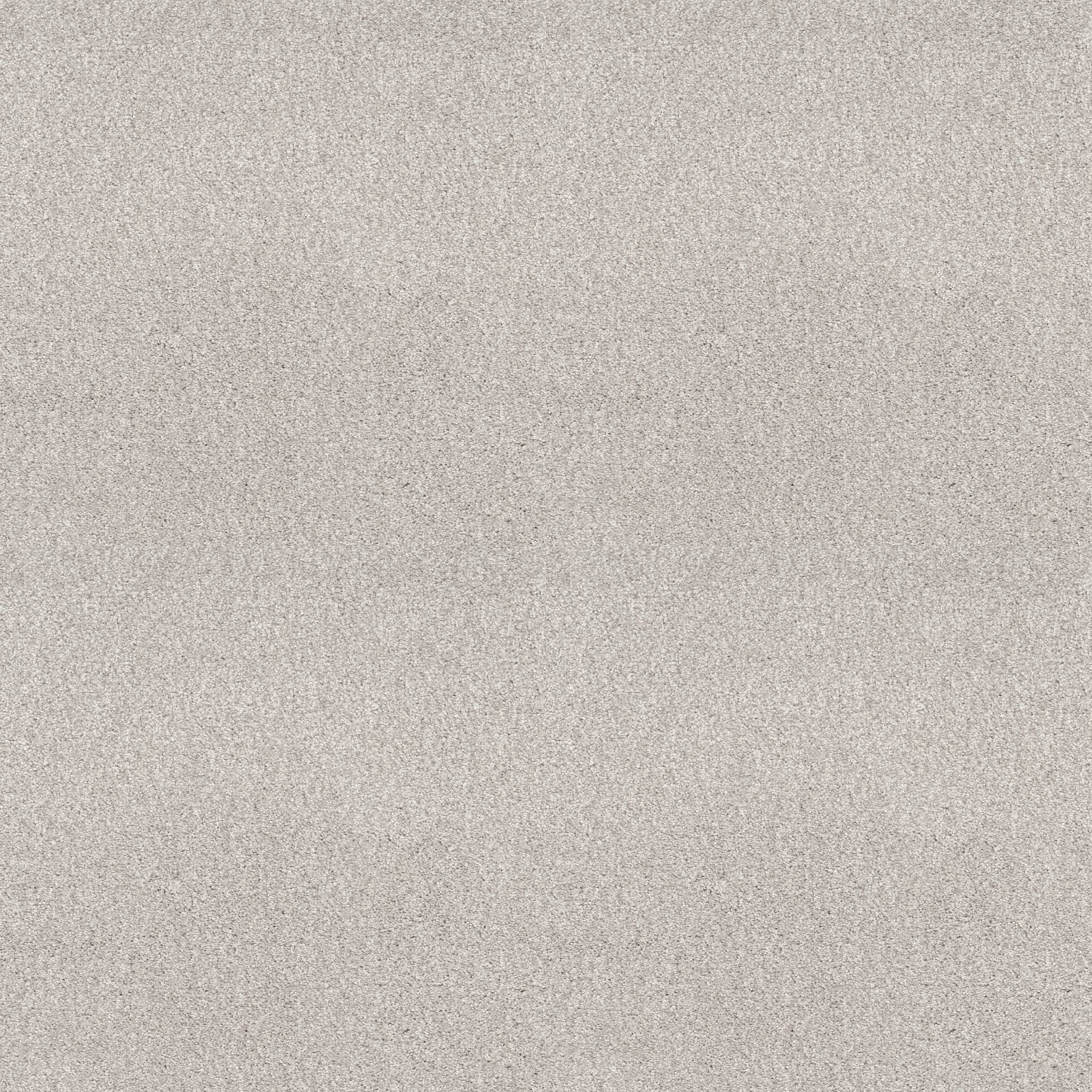Grand Variety Carpet - Pale Shadow(T) Zoomed Swatch Image
