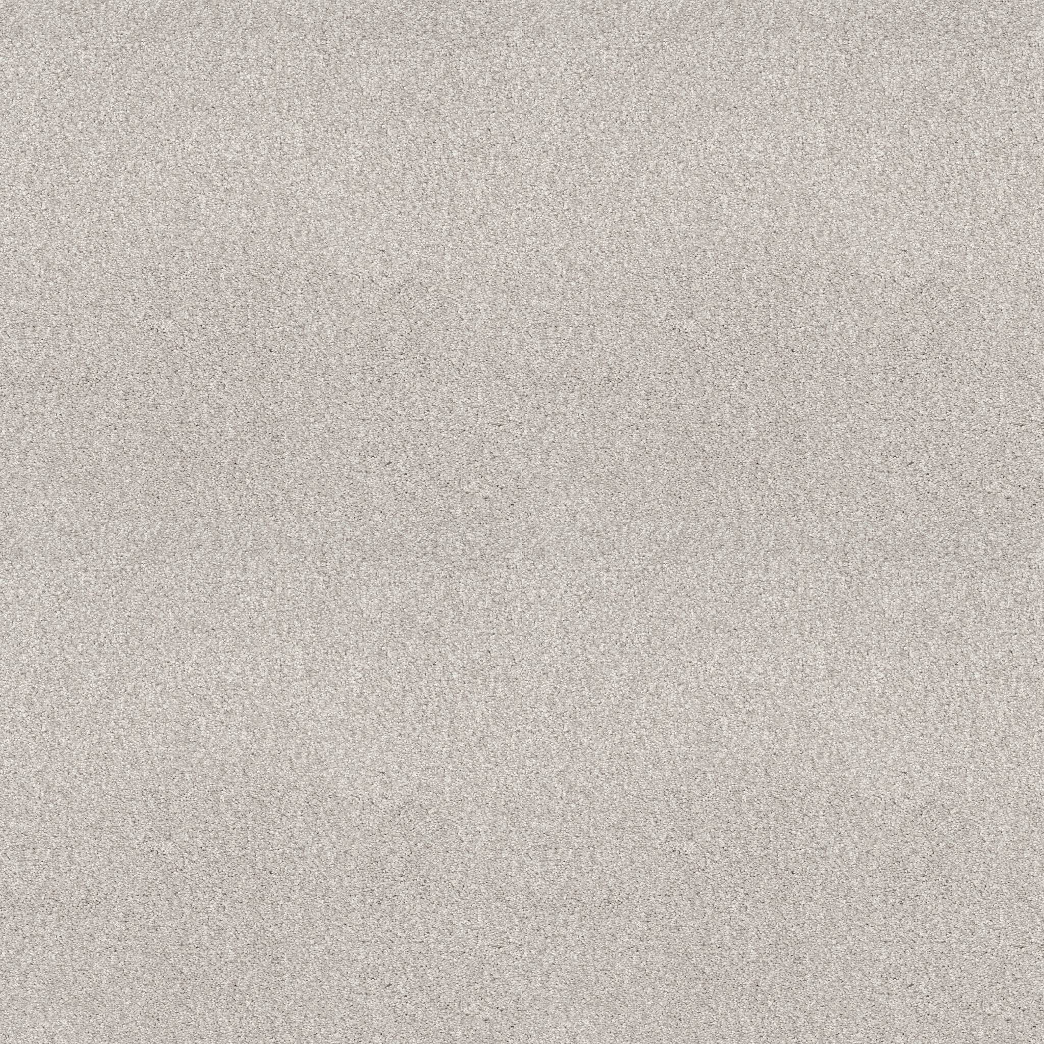 Grand Variety Carpet - Pale Shadow(T) Zoomed Swatch Image