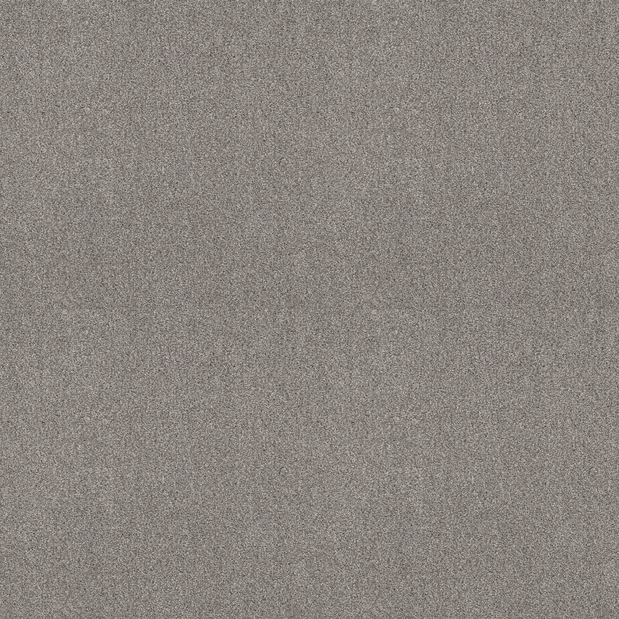 Grand Variety Carpet - Misty Harbor(T) Zoomed Swatch Image