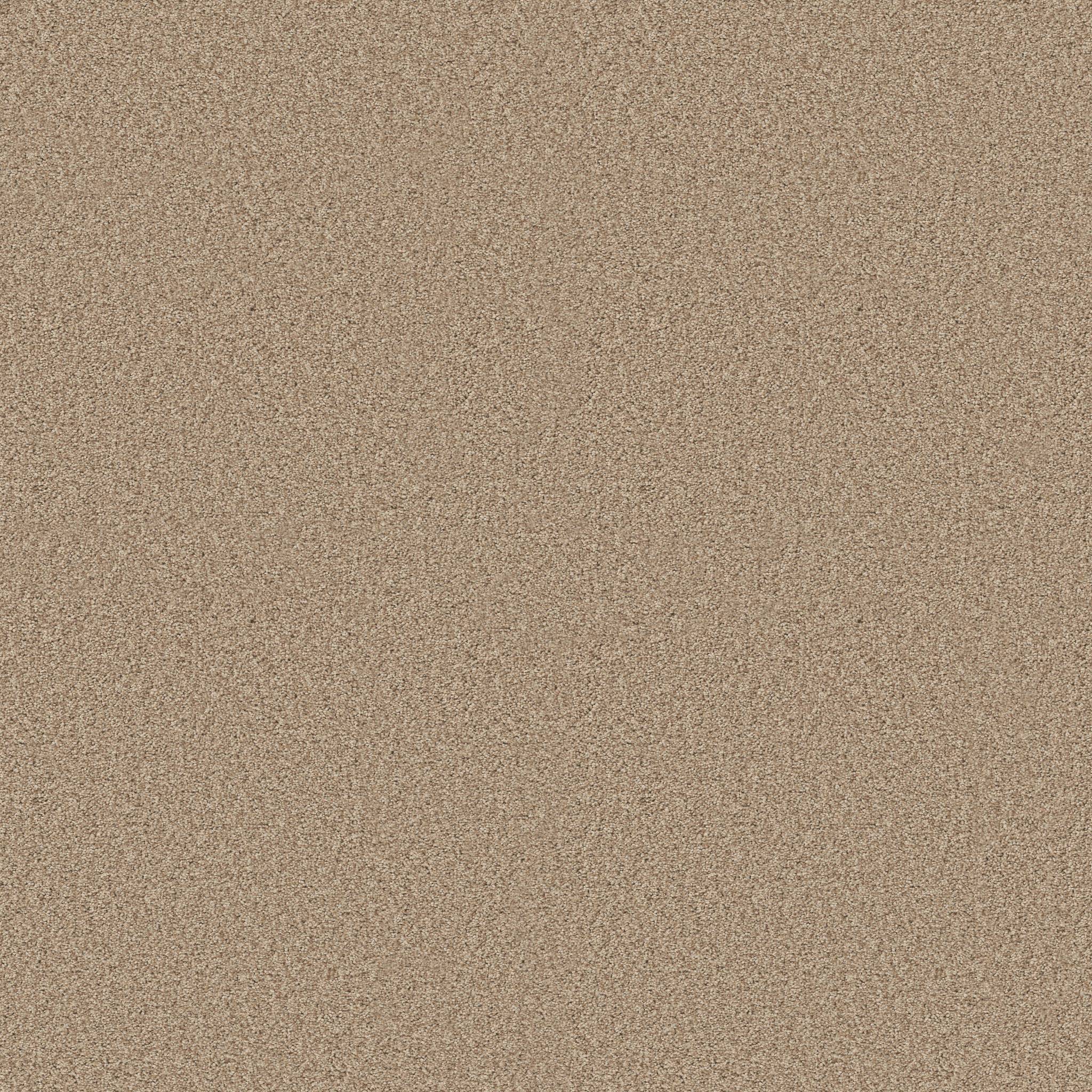 Grand Variety Carpet - Tumbleweed(T) Zoomed Swatch Image