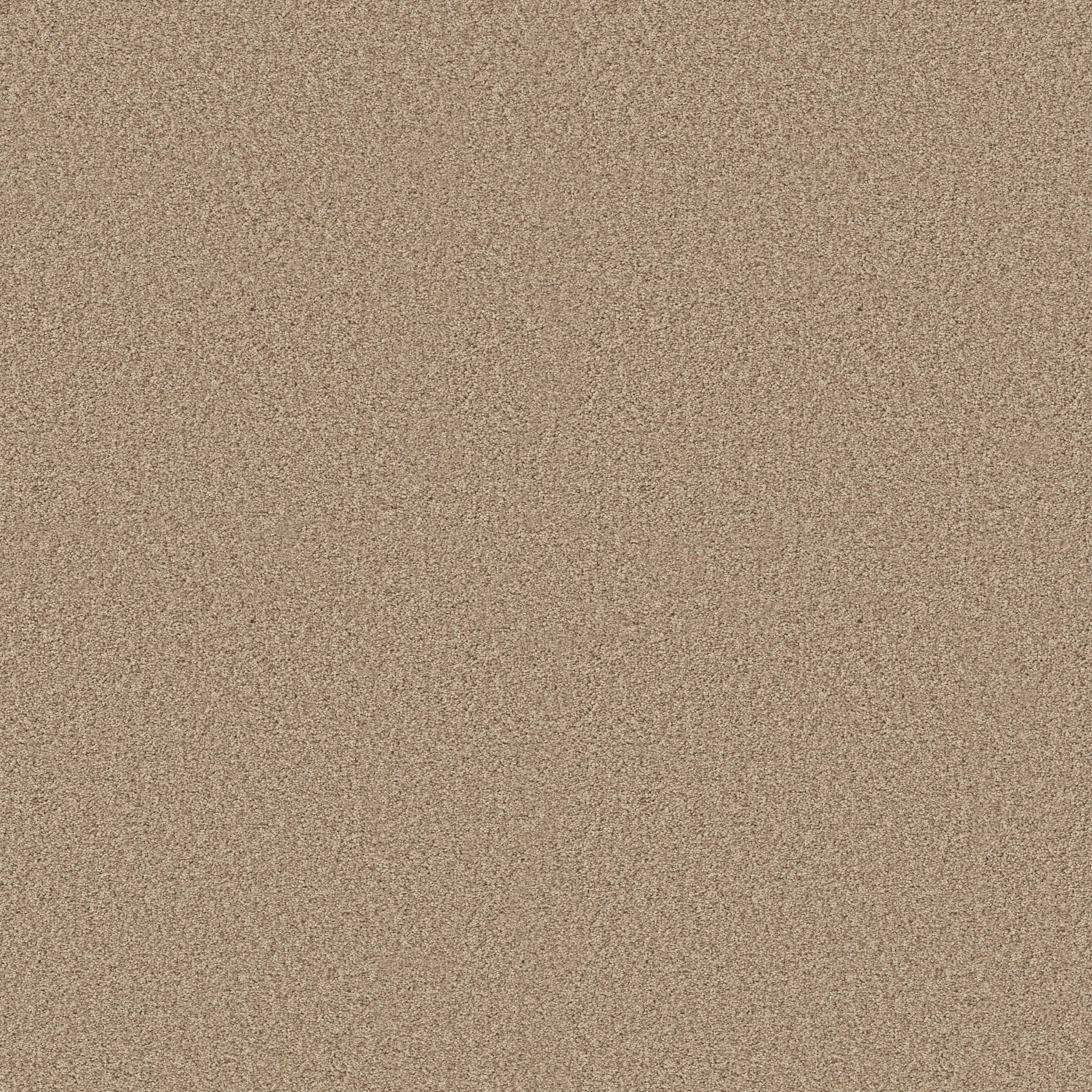 Grand Variety Carpet - Tumbleweed(T) Zoomed Swatch Image