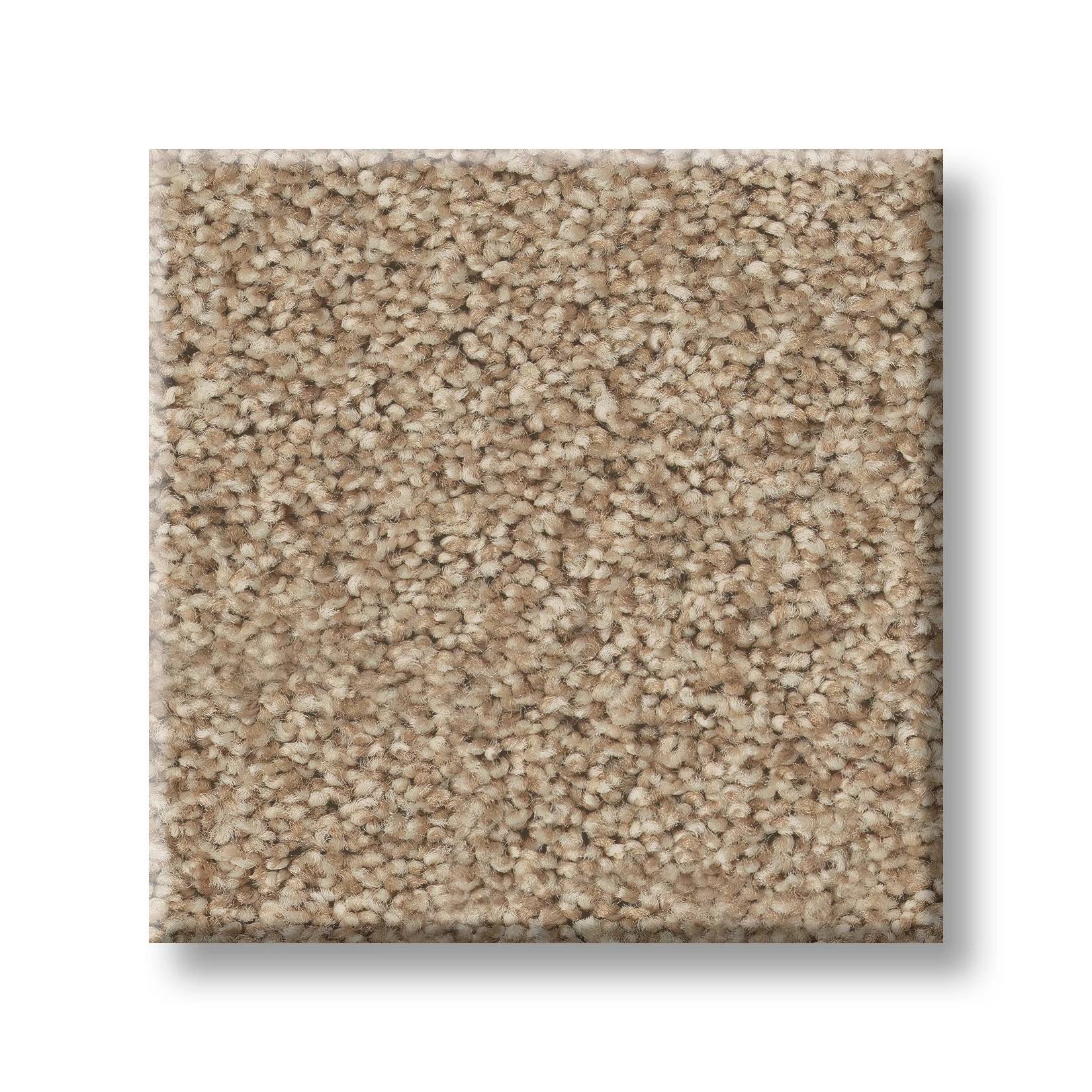 Grand Variety Carpet - Tumbleweed(T) Swatch Thumbnail pupop1