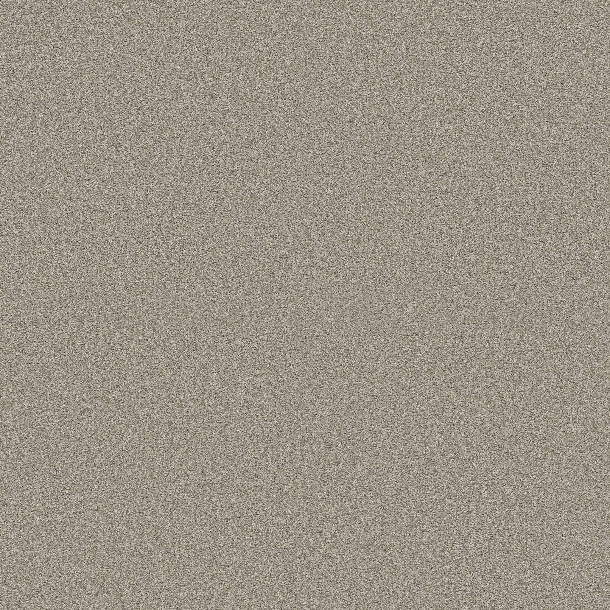 Grand Variety Carpet - Nutshell(T) Zoomed Swatch Image