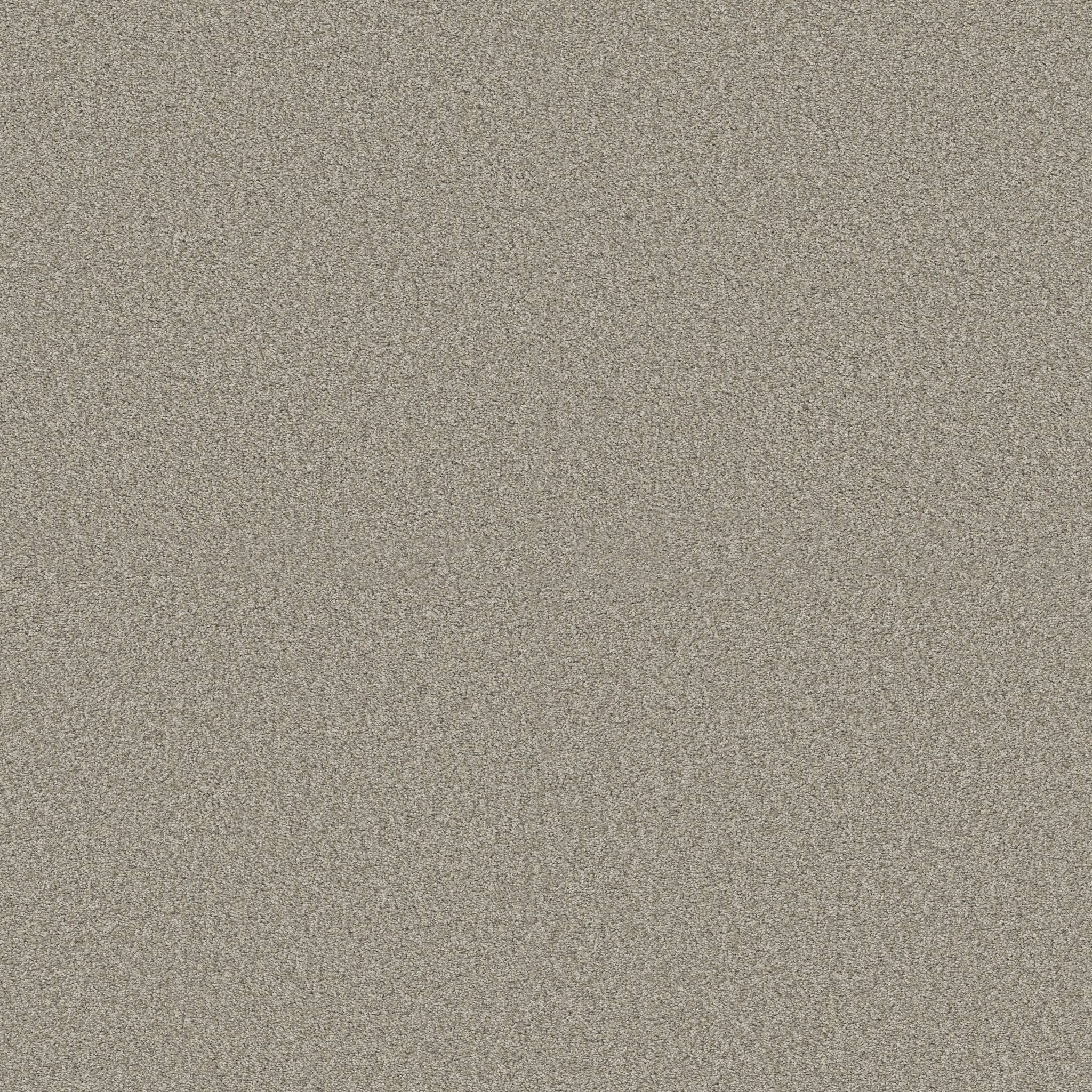 Grand Variety Carpet - Nutshell(T) Zoomed Swatch Image