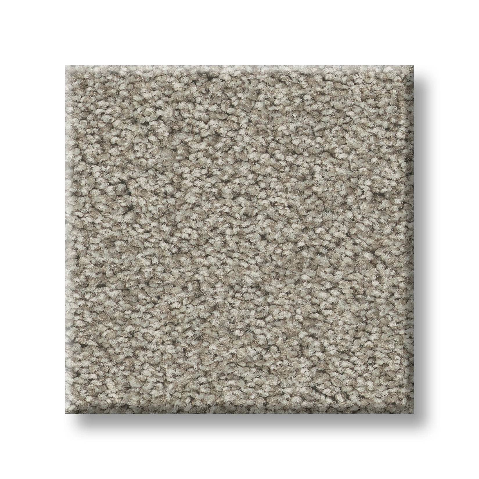 Grand Variety Carpet - Nutshell(T) Swatch Thumbnail pupop1