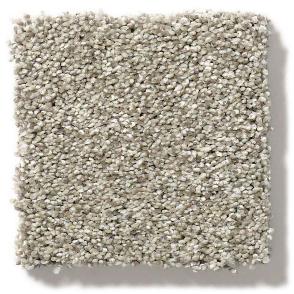 Grand Variety Carpet - Nutshell(T)  Swatch Image 