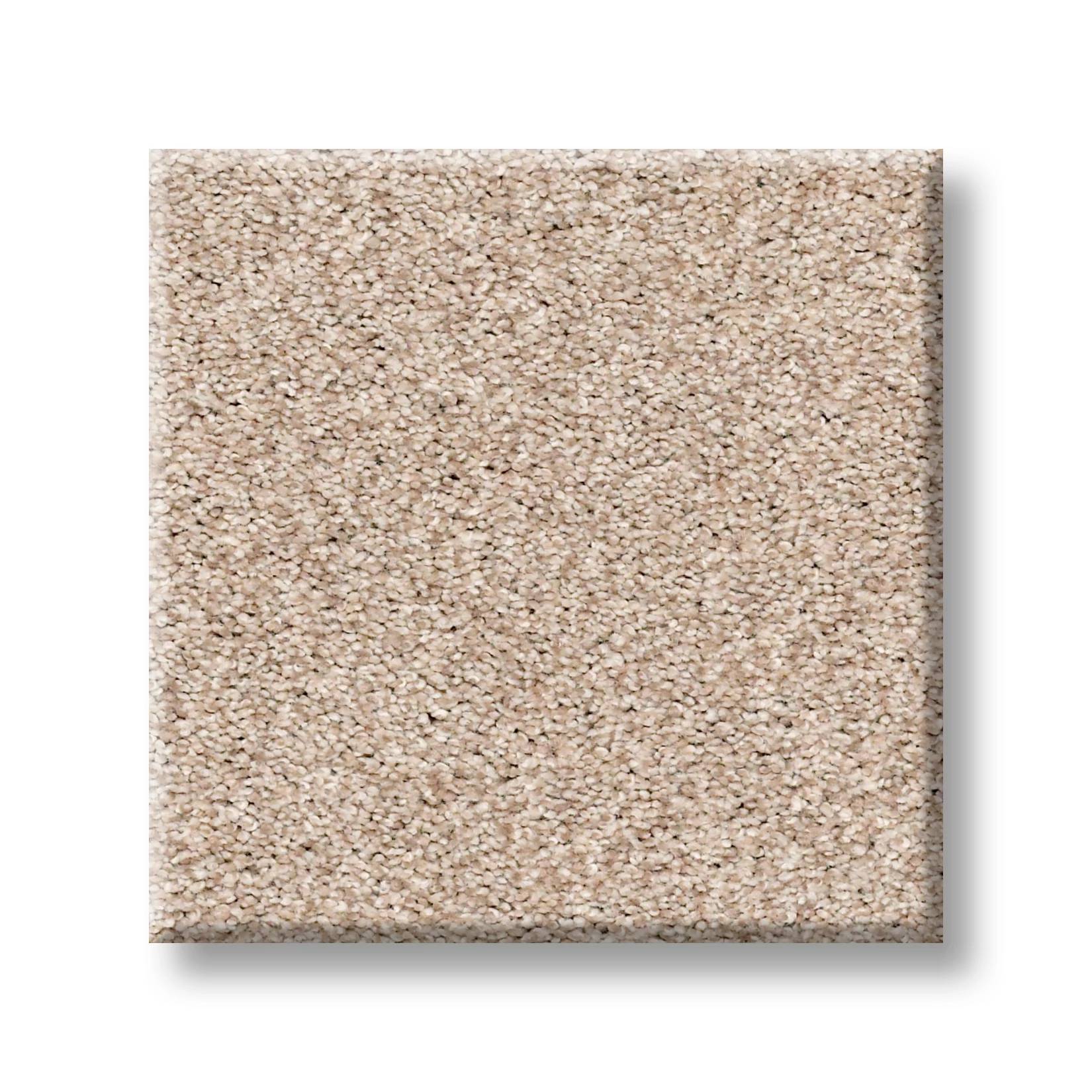 Grand Variety Carpet - Studio(T) Swatch Thumbnail pupop1