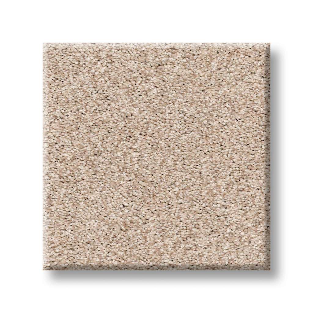 Grand Variety Carpet - Studio(T)  Swatch Image 