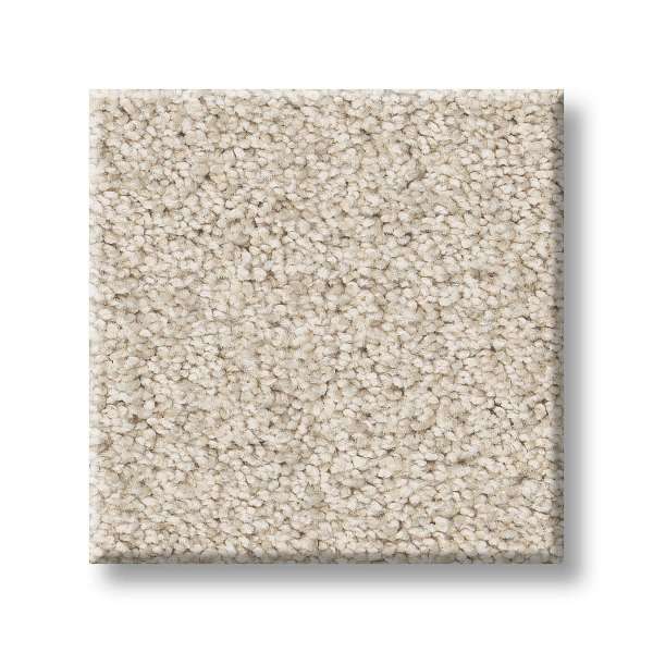 Style Splendid Variety Carpet - Angora(T) Swatch