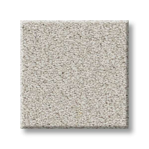 Style Splendid Variety Carpet - Pale Shadow(T) Swatch