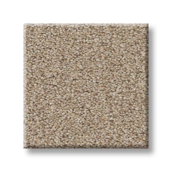 Style Splendid Variety Carpet - Tumbleweed(T) Swatch