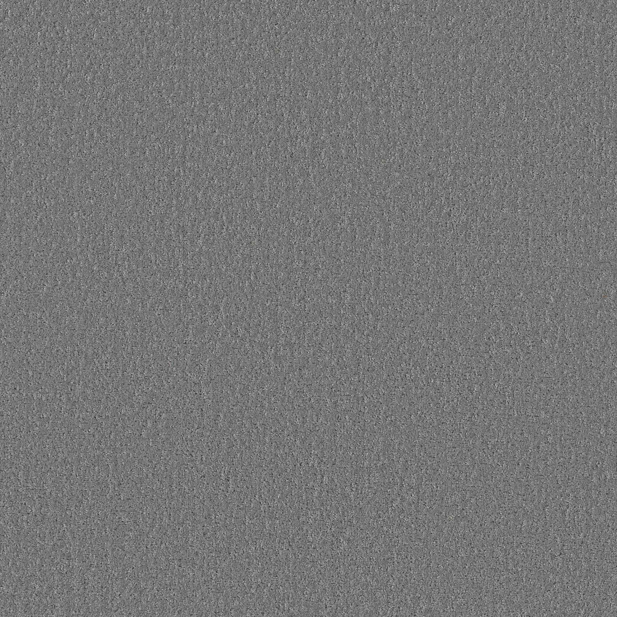 Gold Star Comfort Carpet - Wet Rock Zoomed Swatch Image