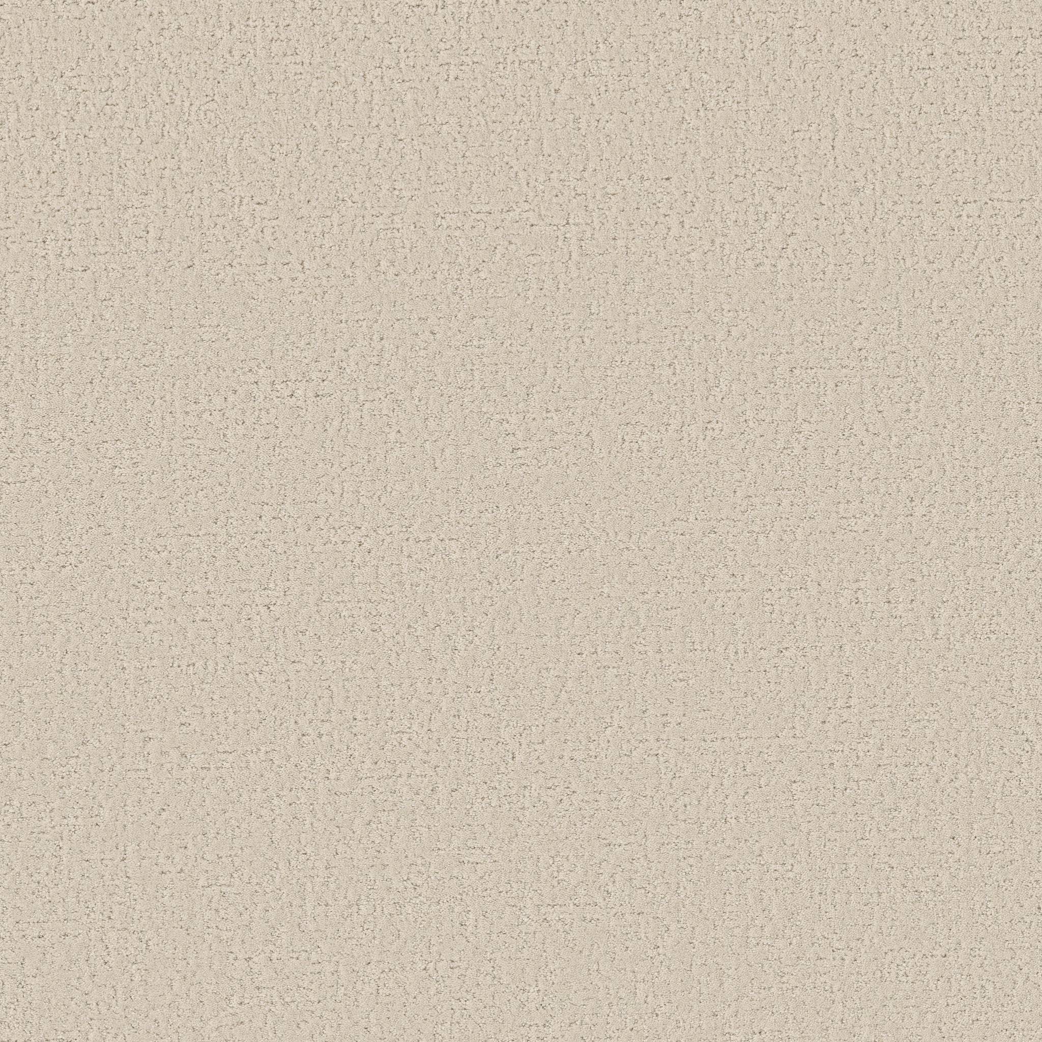 Executive Comfort Carpet - Adobe Zoomed Swatch Image