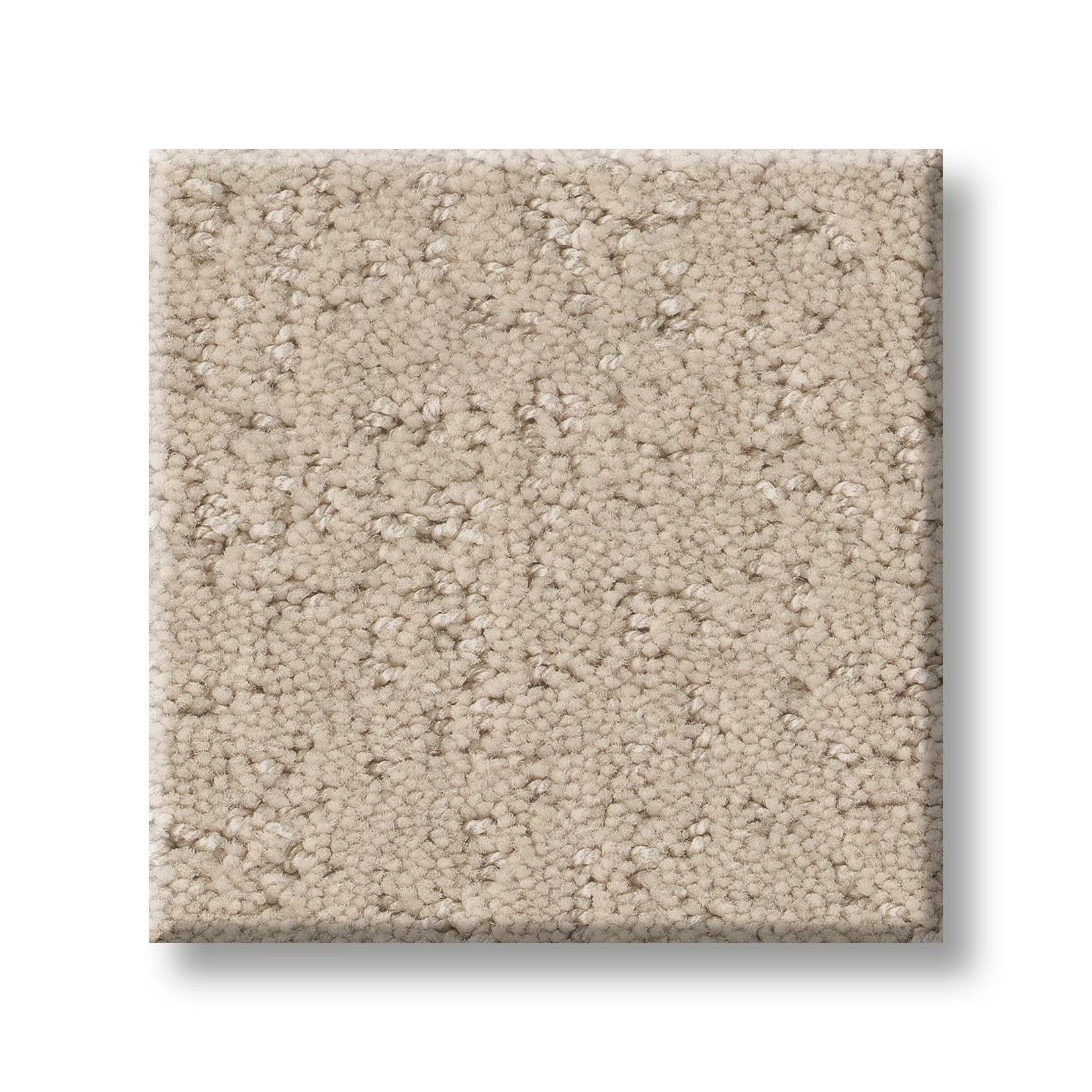 Executive Comfort Carpet - Mesa Swatch Thumbnail pupop1