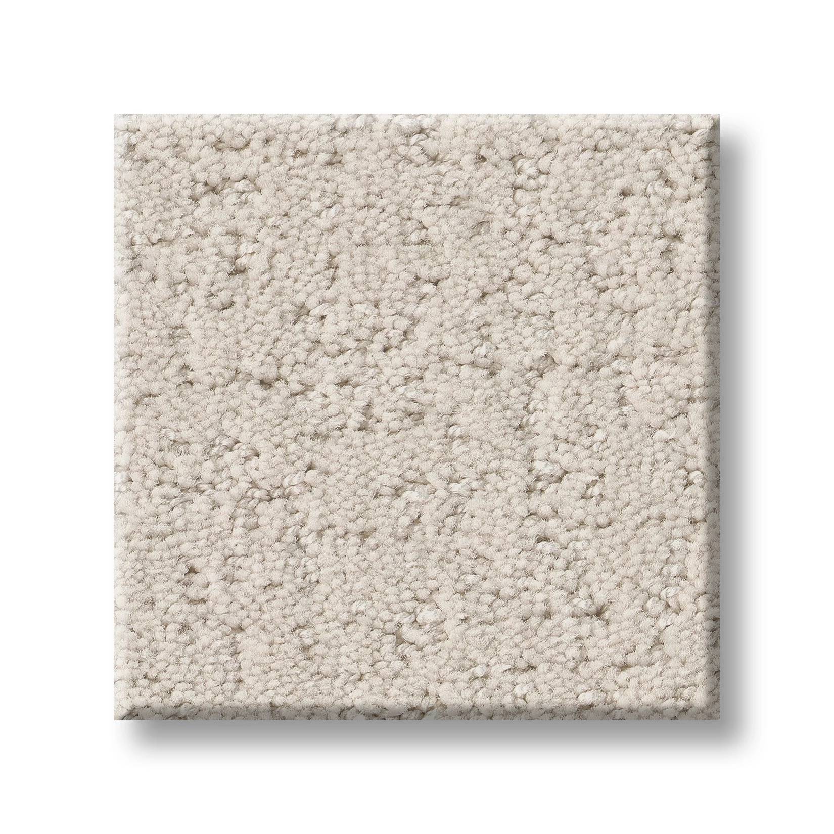 Executive Comfort Carpet - Porcelain Swatch Thumbnail pupop1