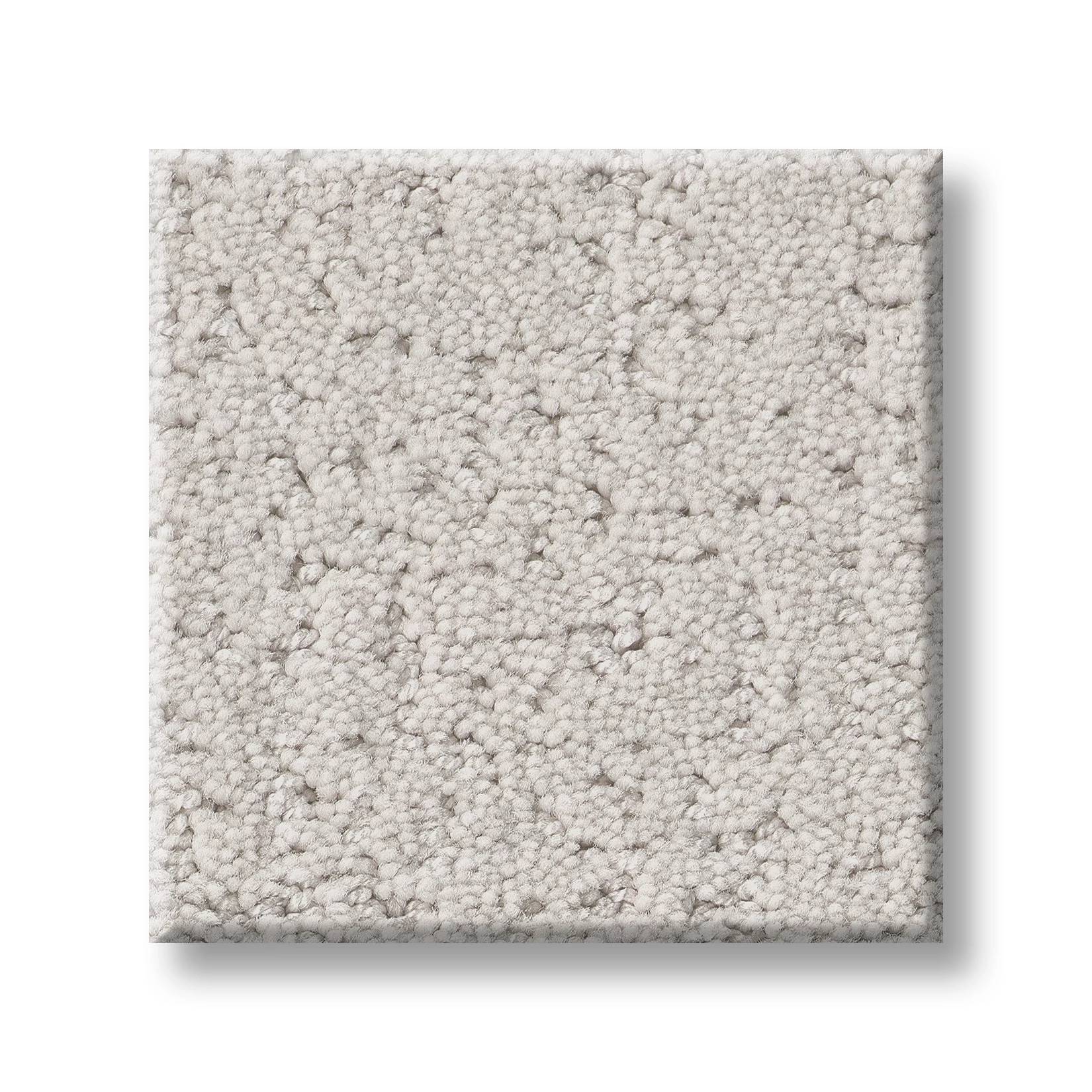 Executive Comfort Carpet - Thin Ice Swatch Thumbnail pupop1