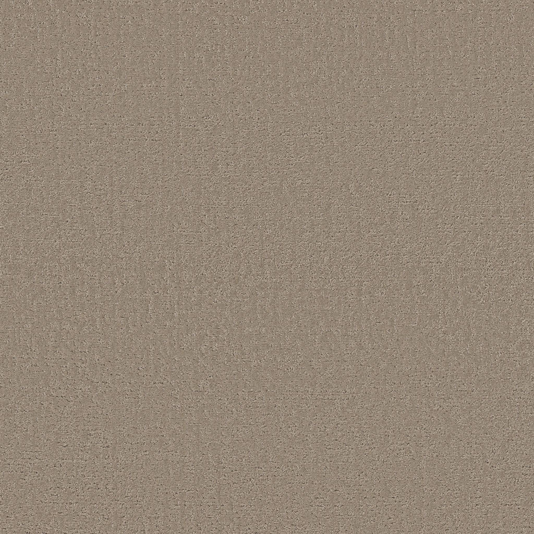 Executive Comfort Carpet - Boardwalk Zoomed Swatch Image