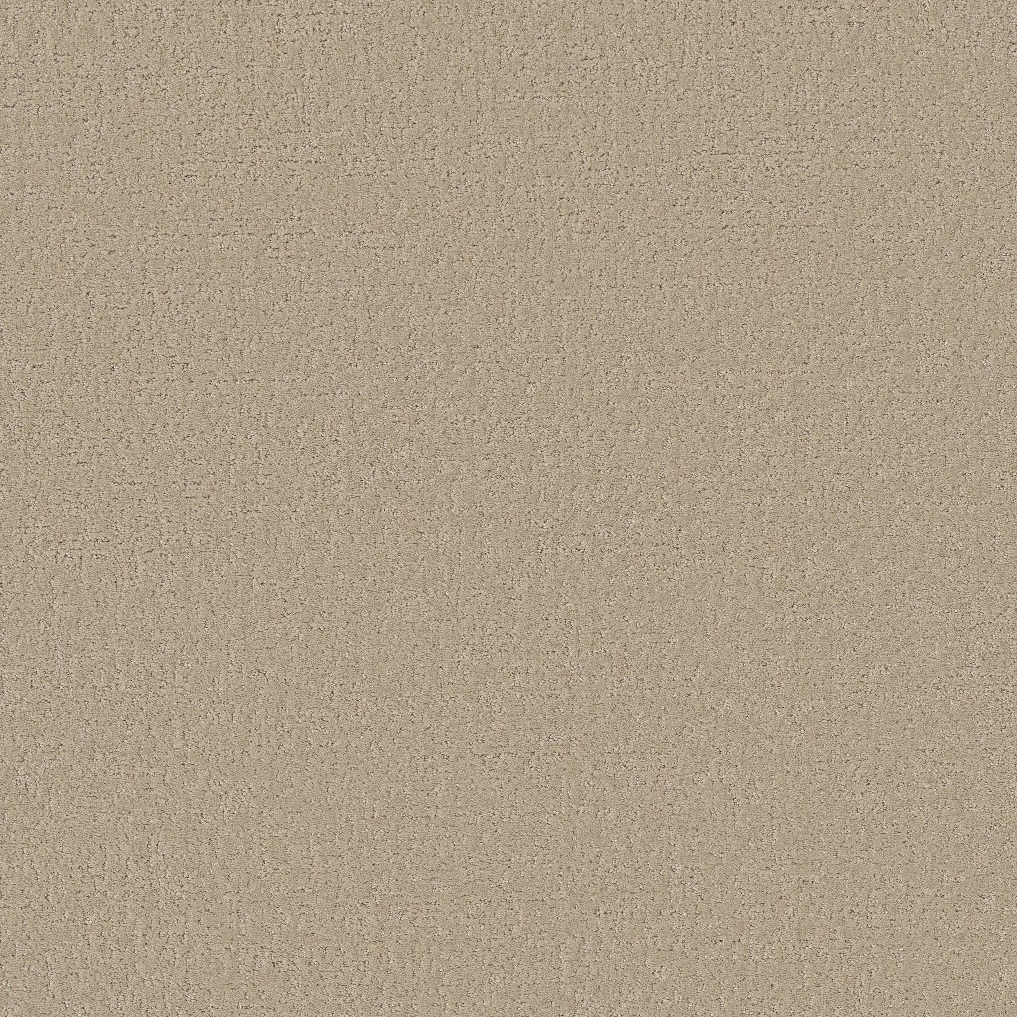 Executive Comfort Carpet - Rustic Zoomed Swatch Image