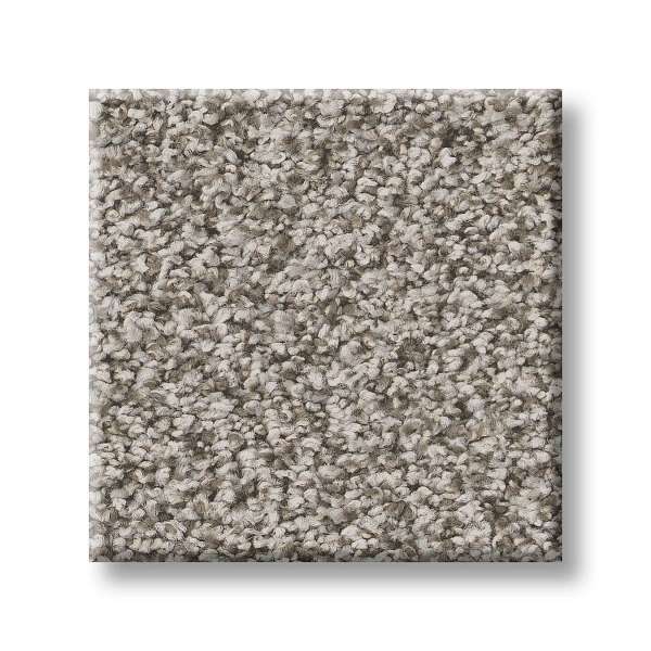 Style Prominence Carpet - Home Coming Swatch