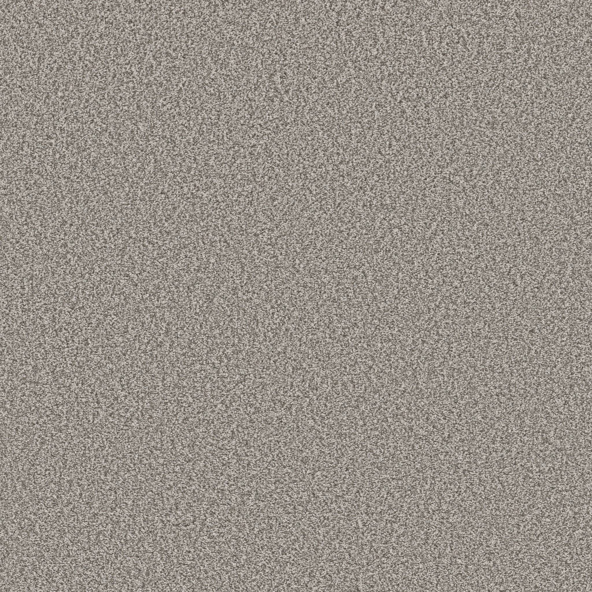 Prominence Carpet - December Frost Zoomed Swatch Image