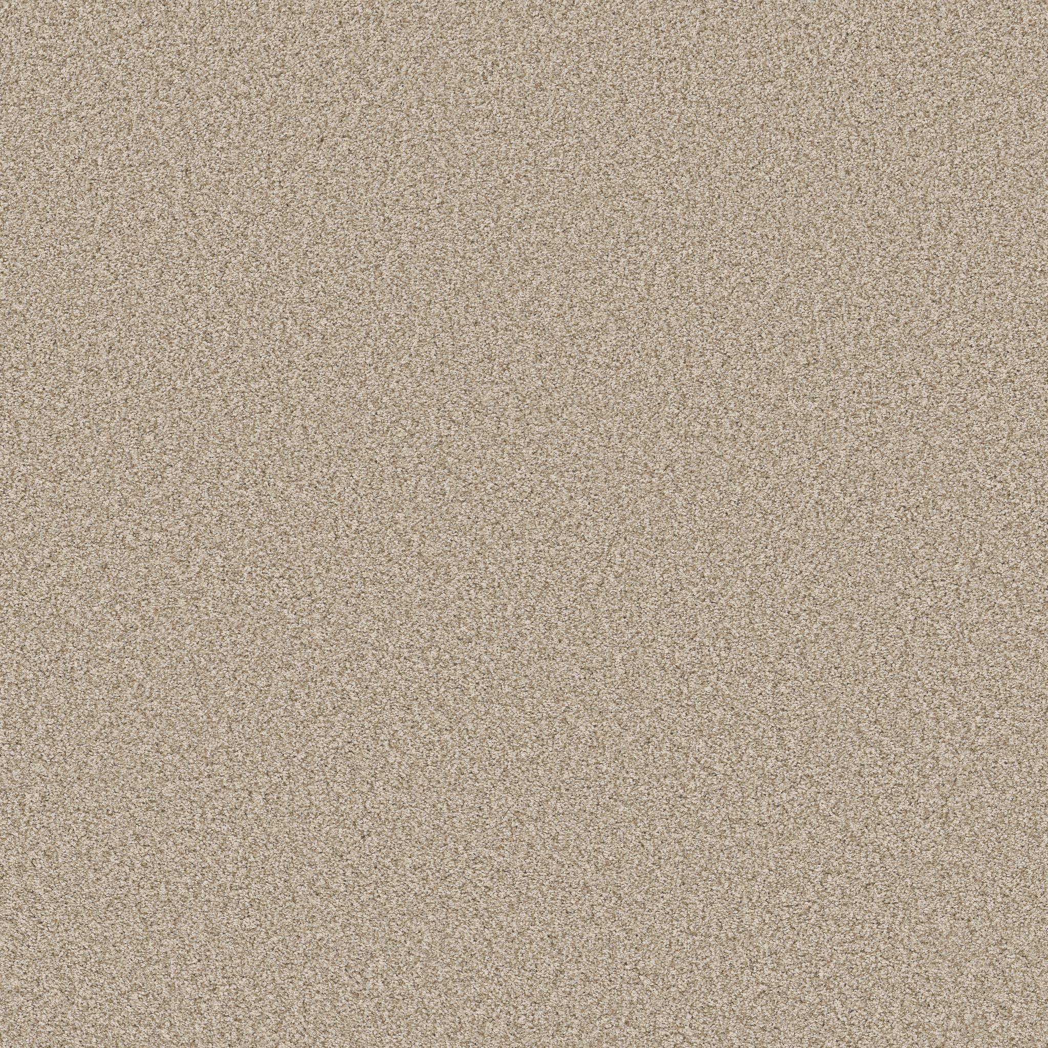 Gold Star Prominence Carpet - Gentle Wind Zoomed Swatch Image