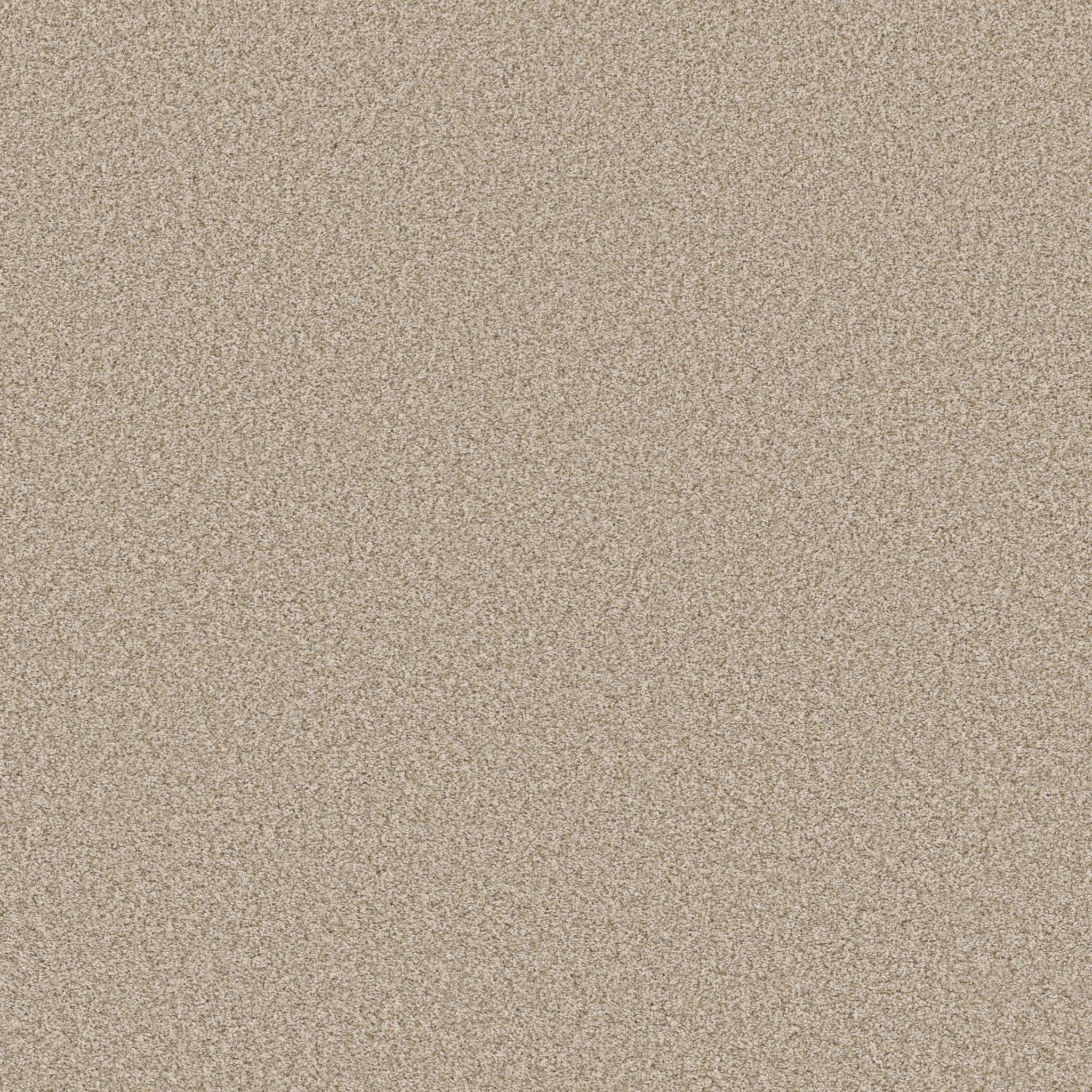 Gold Star Prominence Carpet - Gentle Wind Zoomed Swatch Image