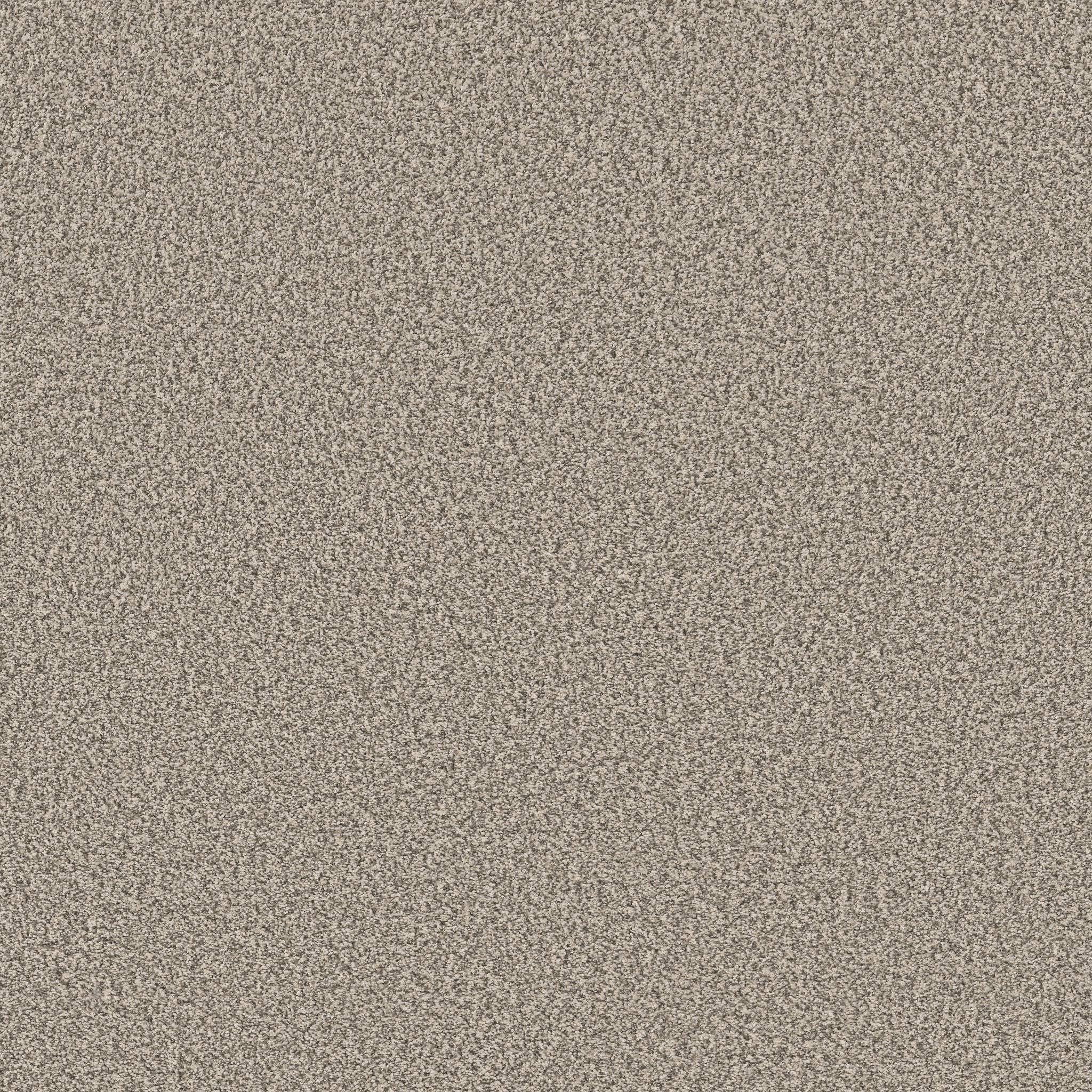 Gold Star Prominence Carpet - Winter Beige Zoomed Swatch Image