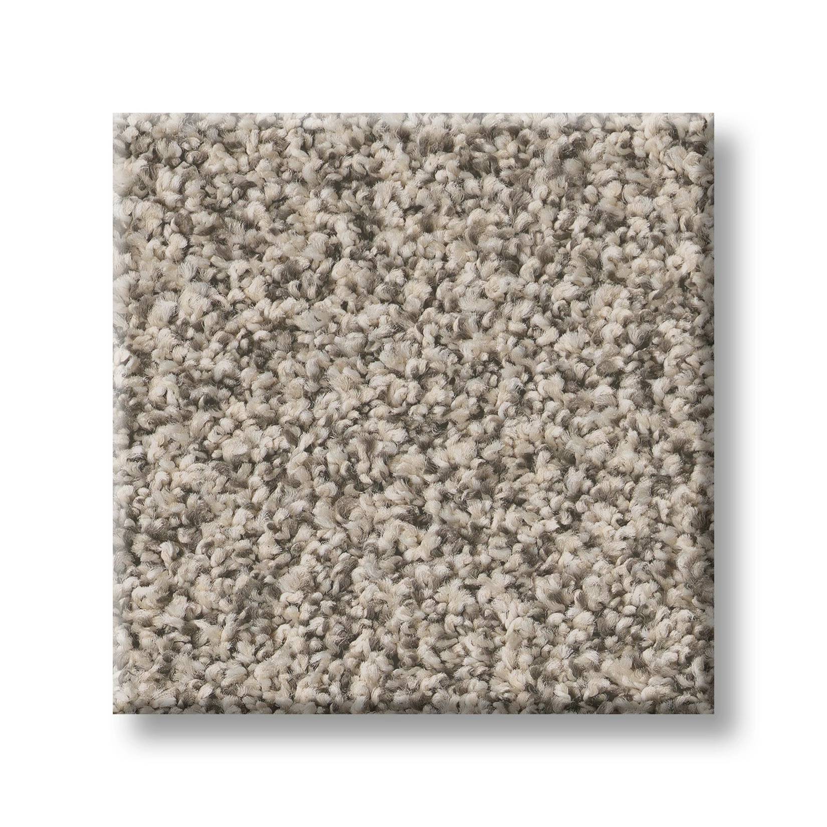 Gold Star Prominence Carpet - Winter Beige Swatch Thumbnail pupop1