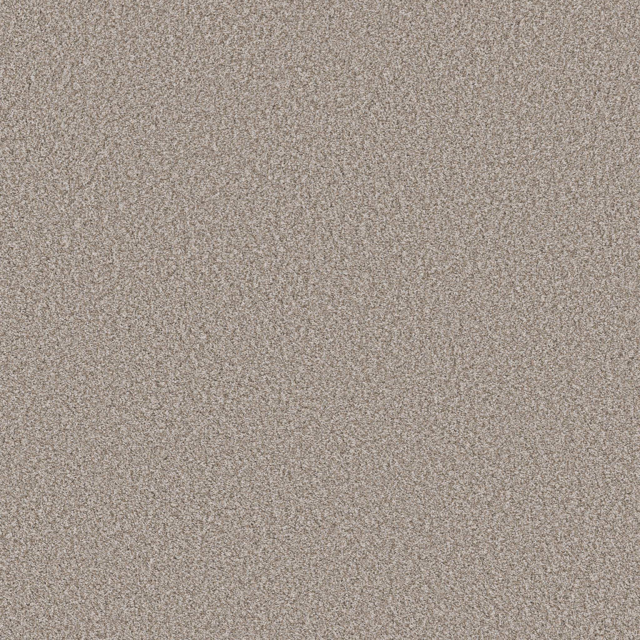 Gold Star Prominence Carpet - Alabaster Zoomed Swatch Image