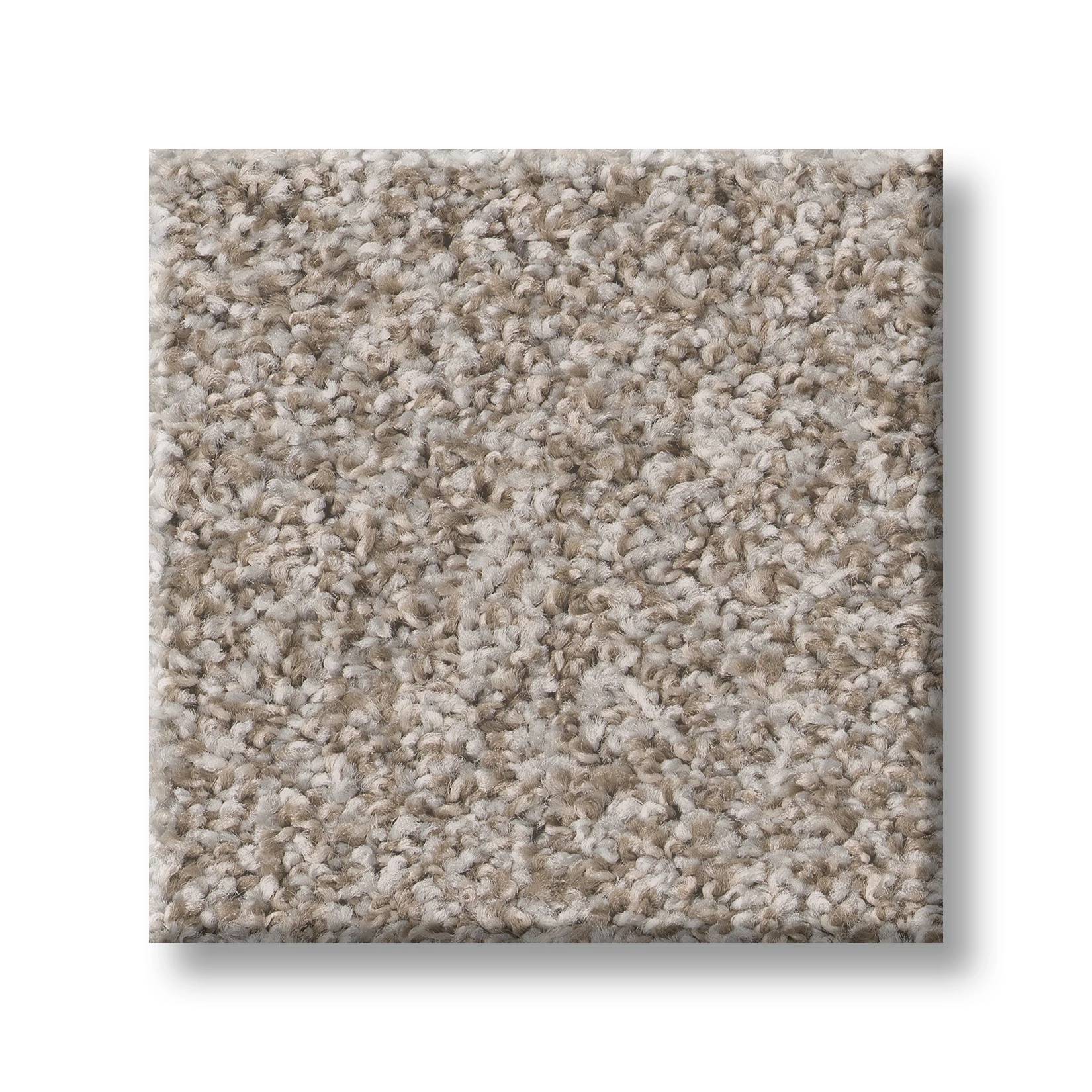 Gold Star Prominence Carpet - Alabaster Swatch Thumbnail pupop1