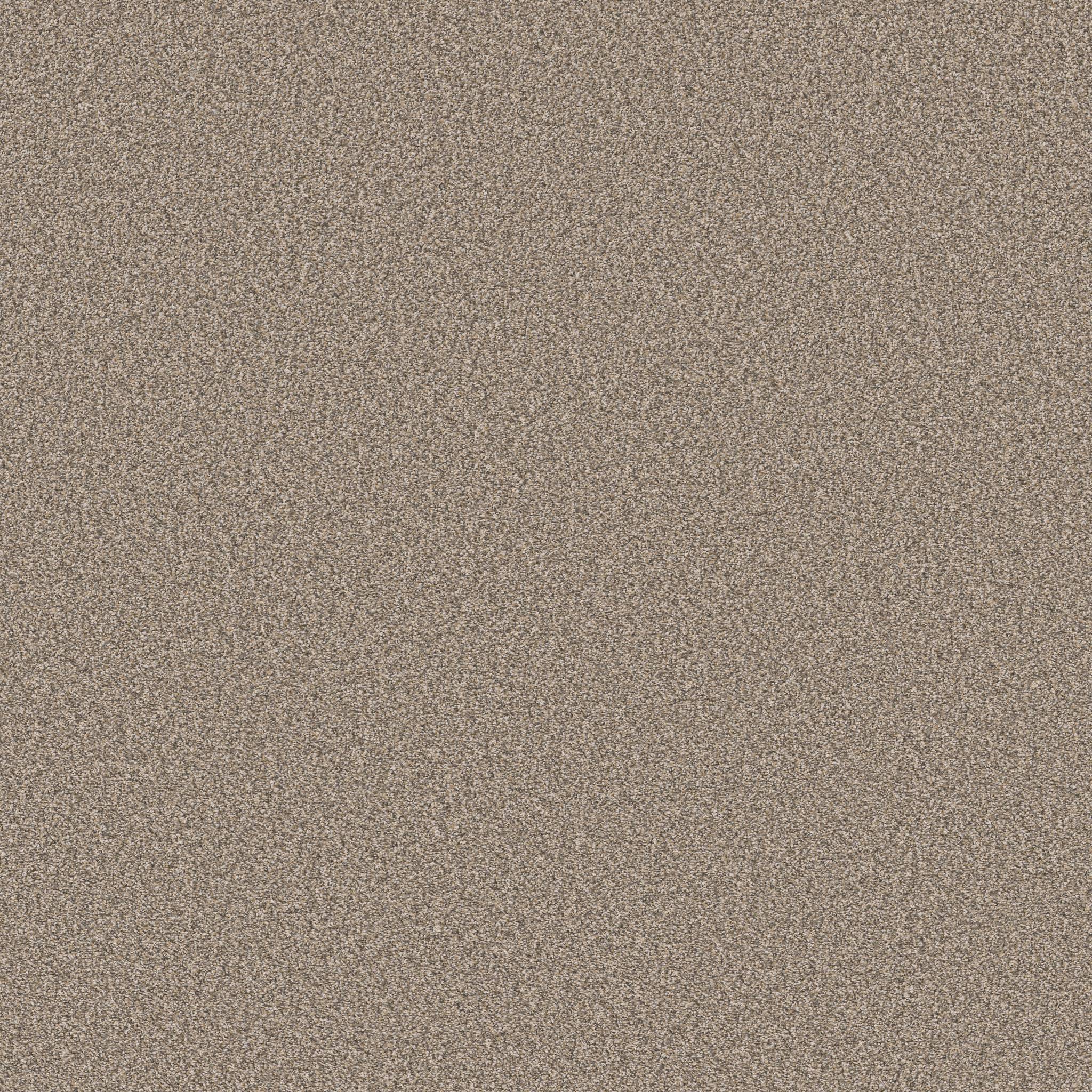 Gold Star Prominence Carpet - Wheat Zoomed Swatch Image