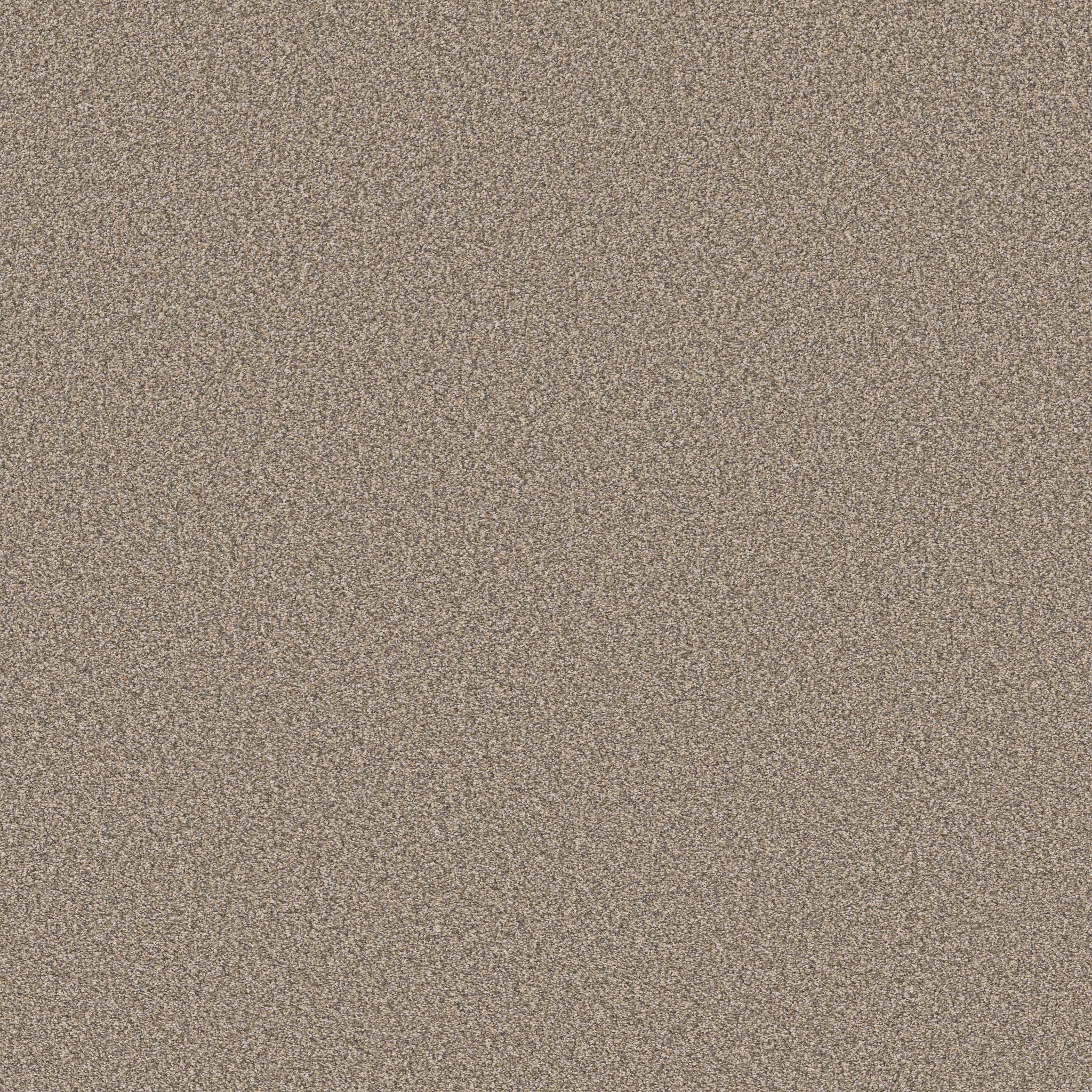 Gold Star Prominence Carpet - Wheat Zoomed Swatch Image