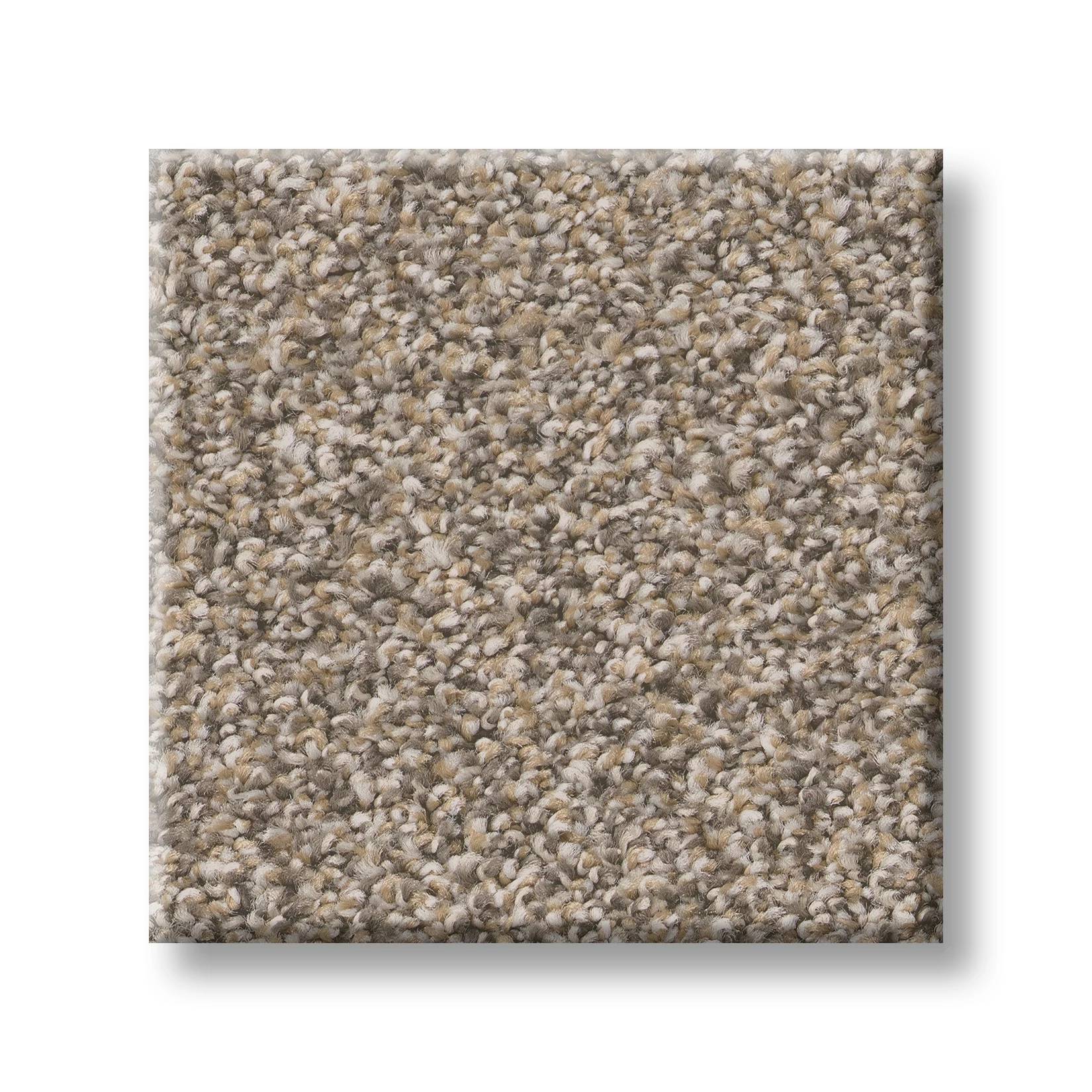 Gold Star Prominence Carpet - Wheat Swatch Thumbnail pupop1