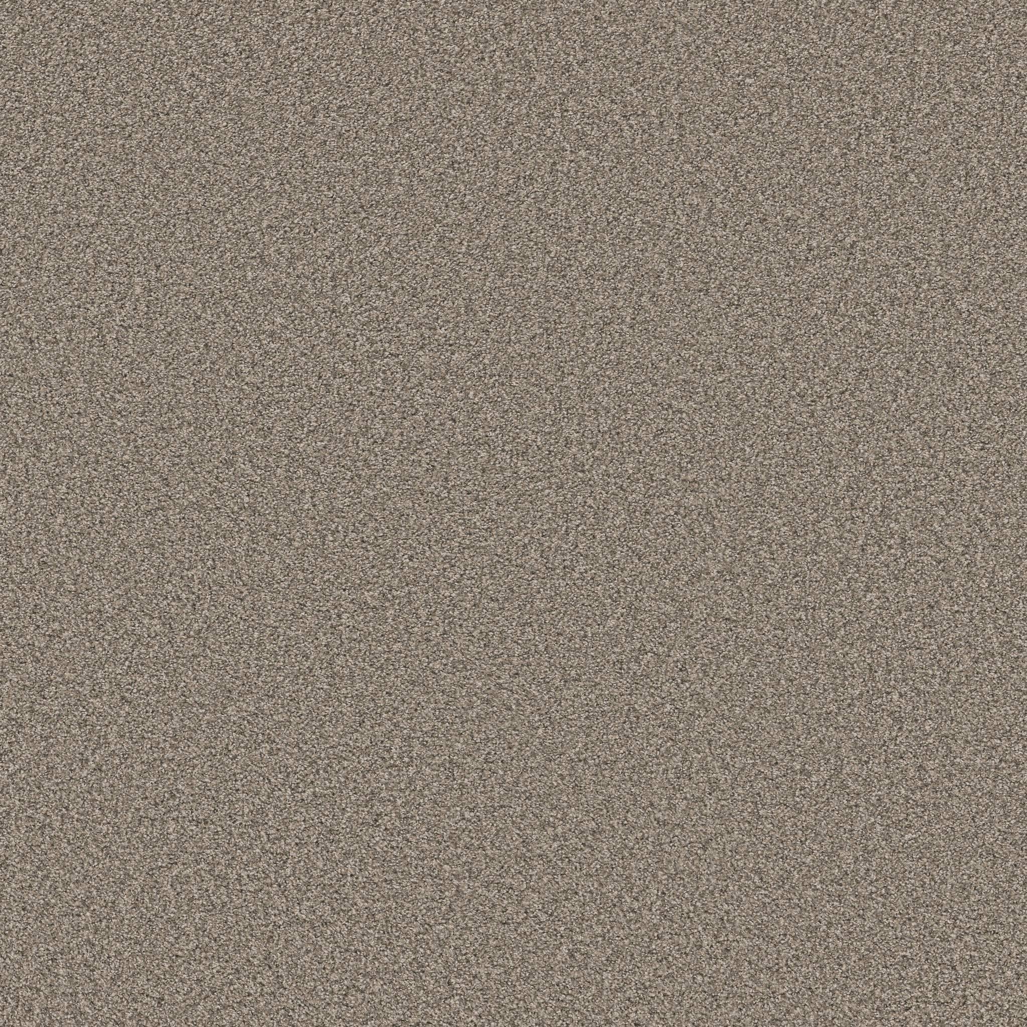 Gold Star Prominence Carpet - Weathered Wood Zoomed Swatch Image