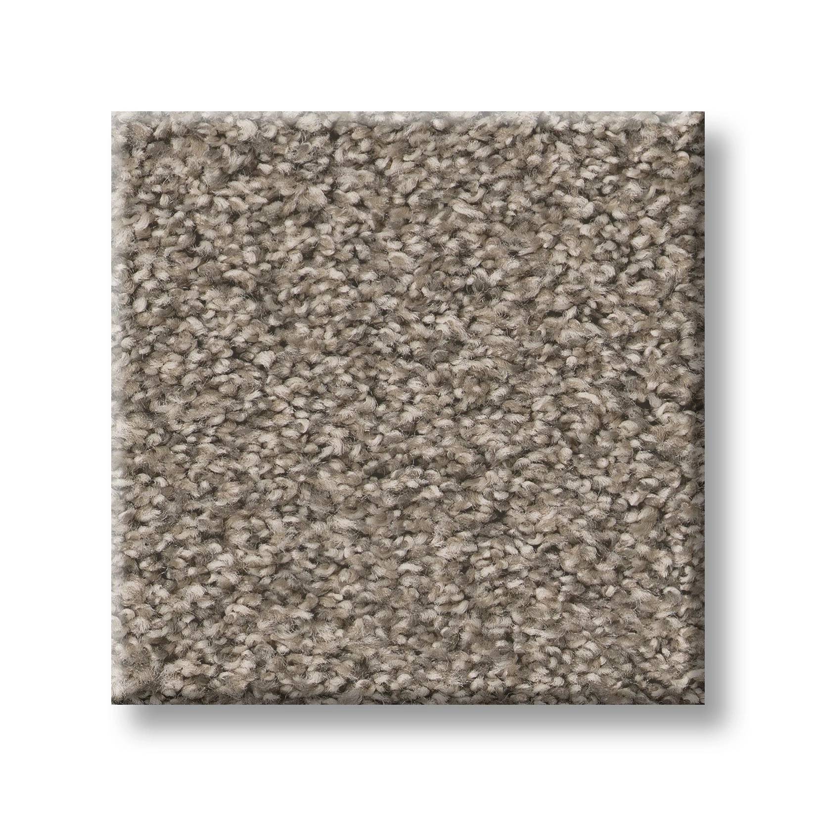 Gold Star Prominence Carpet - Weathered Wood Swatch Thumbnail pupop1