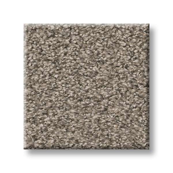 Style Gold Star Prominence Carpet - Weathered Wood Swatch