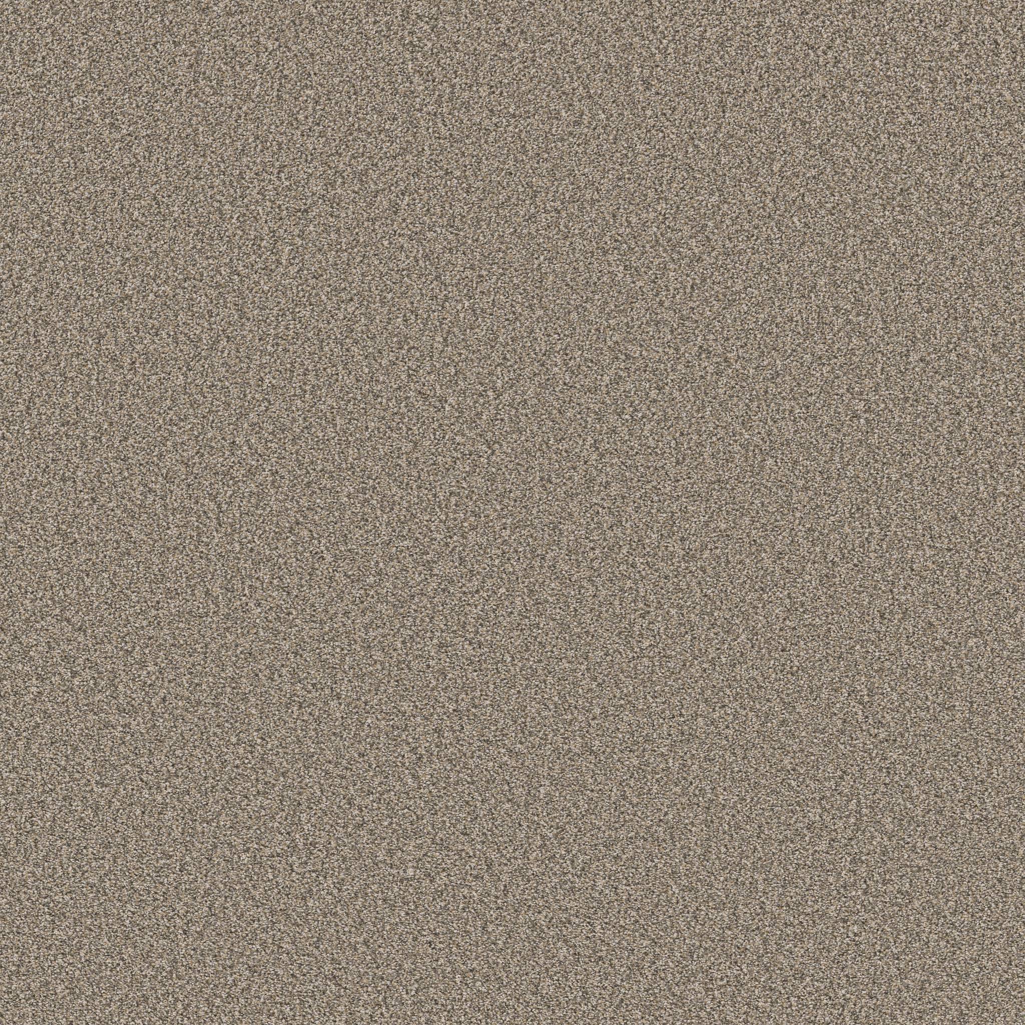 Gold Star Prominence Carpet - Feather Zoomed Swatch Image