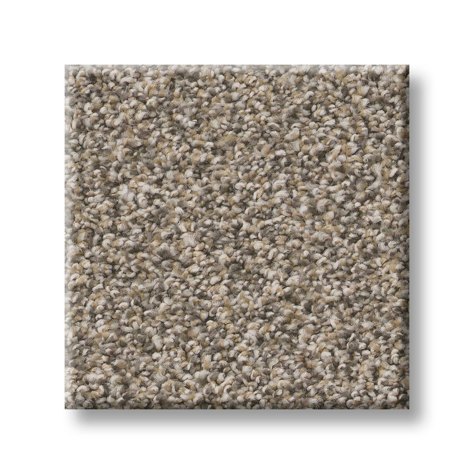 Gold Star Prominence Carpet - Feather Swatch Thumbnail pupop1