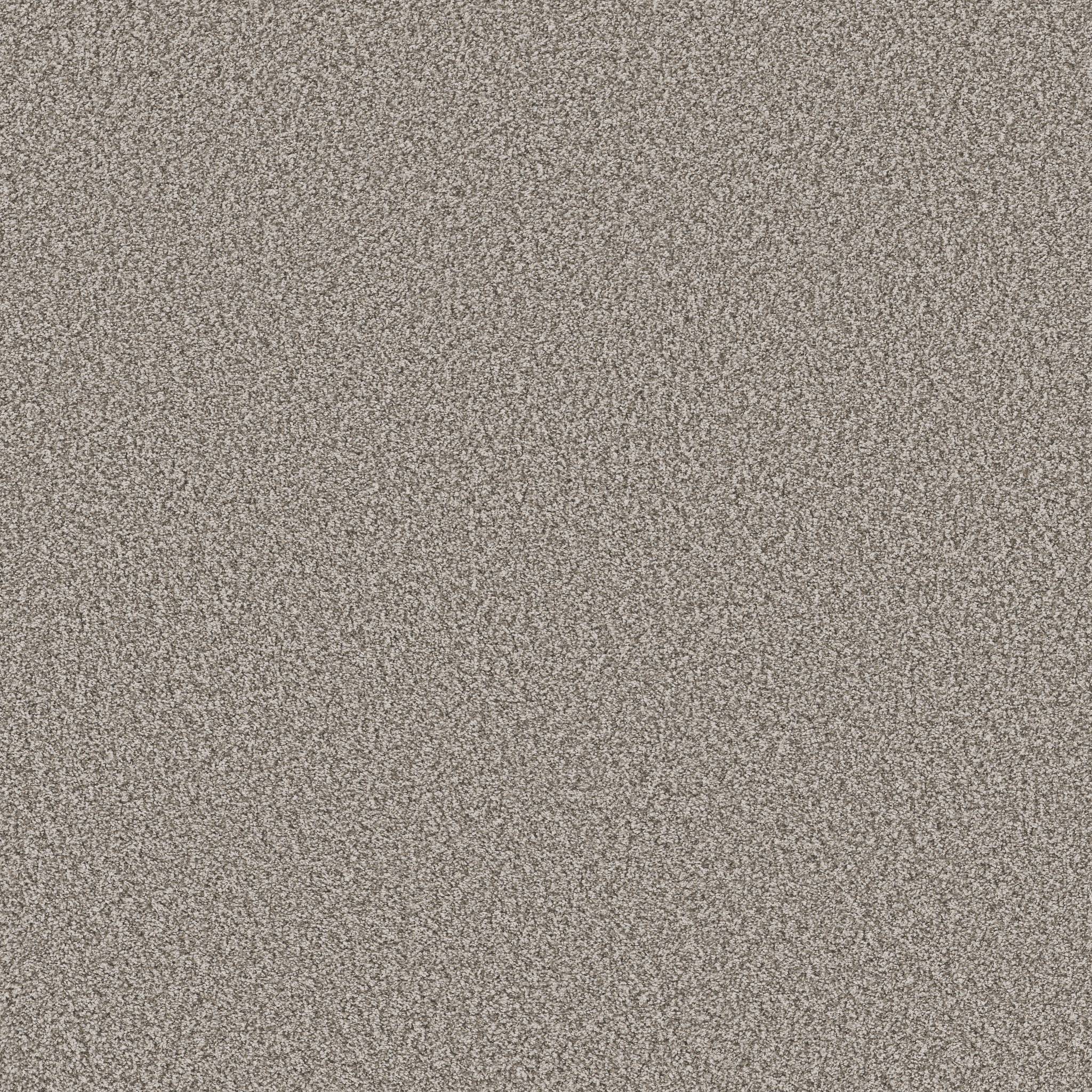 Gold Star Prominence Carpet - Home Coming Zoomed Swatch Image