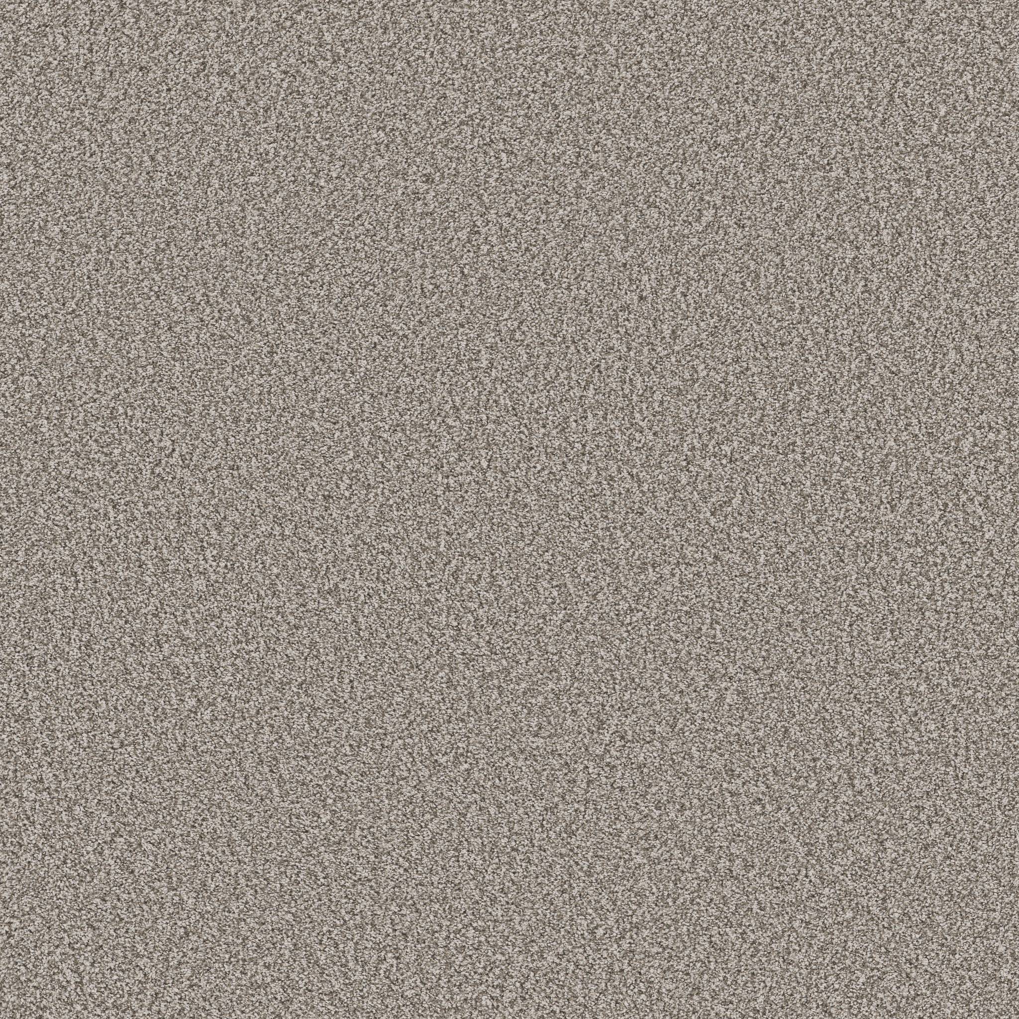 Gold Star Prominence Carpet - Home Coming Zoomed Swatch Image