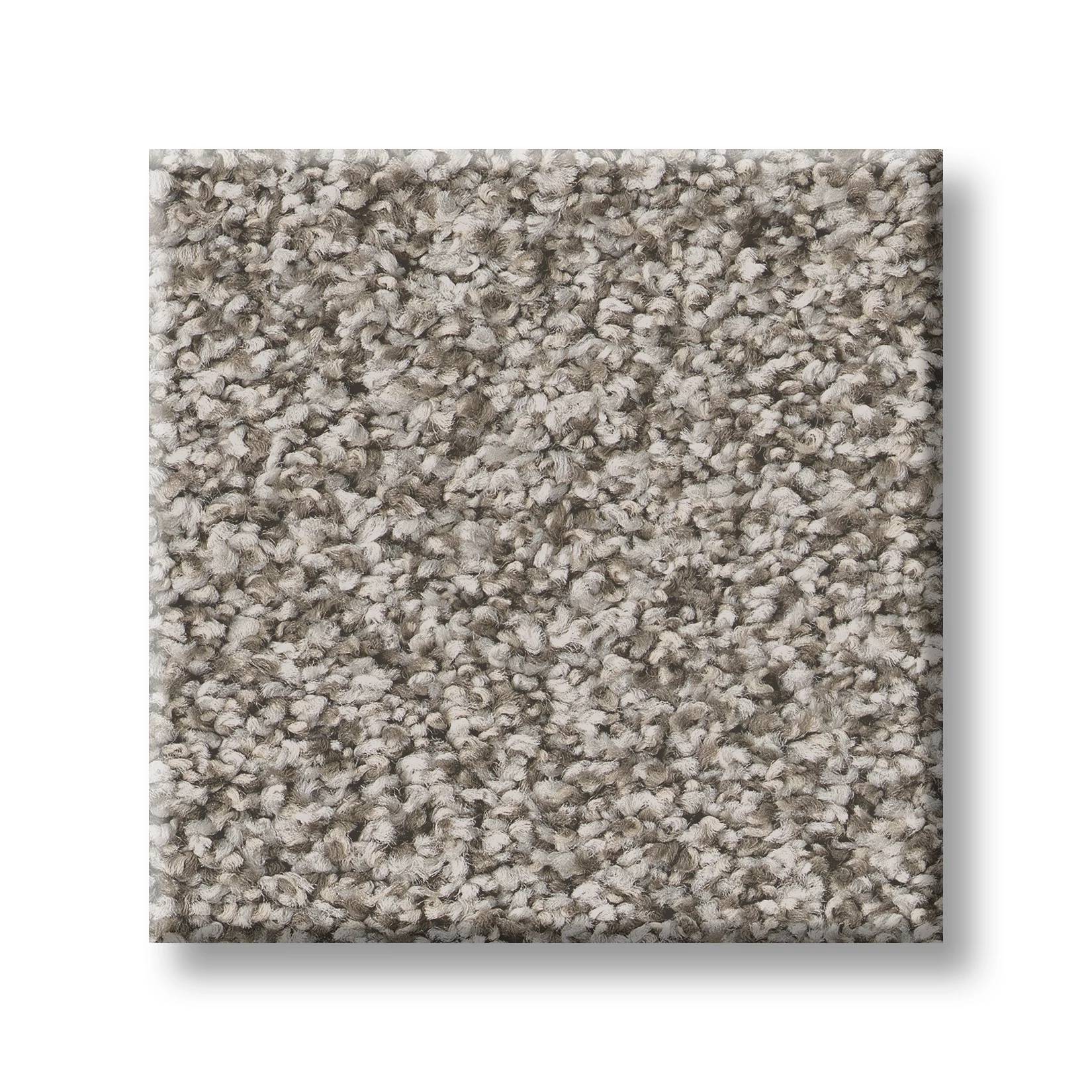 Gold Star Prominence Carpet - Home Coming Swatch Thumbnail pupop1